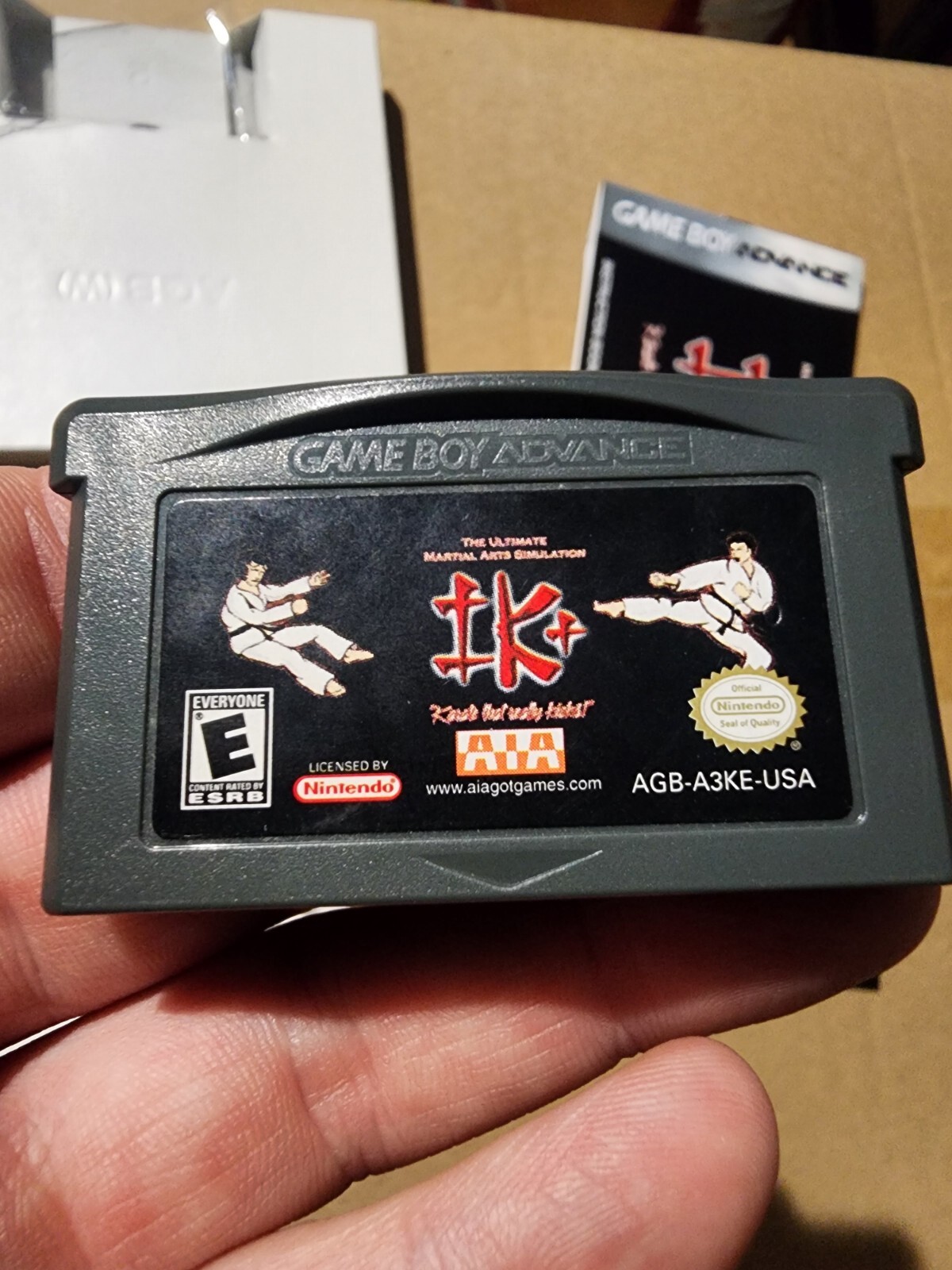 IK+: The Ultimate Martial Arts Simulator (GameBoy Advance GBA) 100% Complete! NM