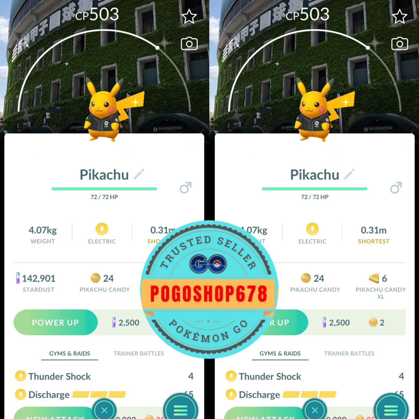 Pokémon PTC Go -Shiny Pikachu Wearing baseball shirt Hanshin Tigers Background✨