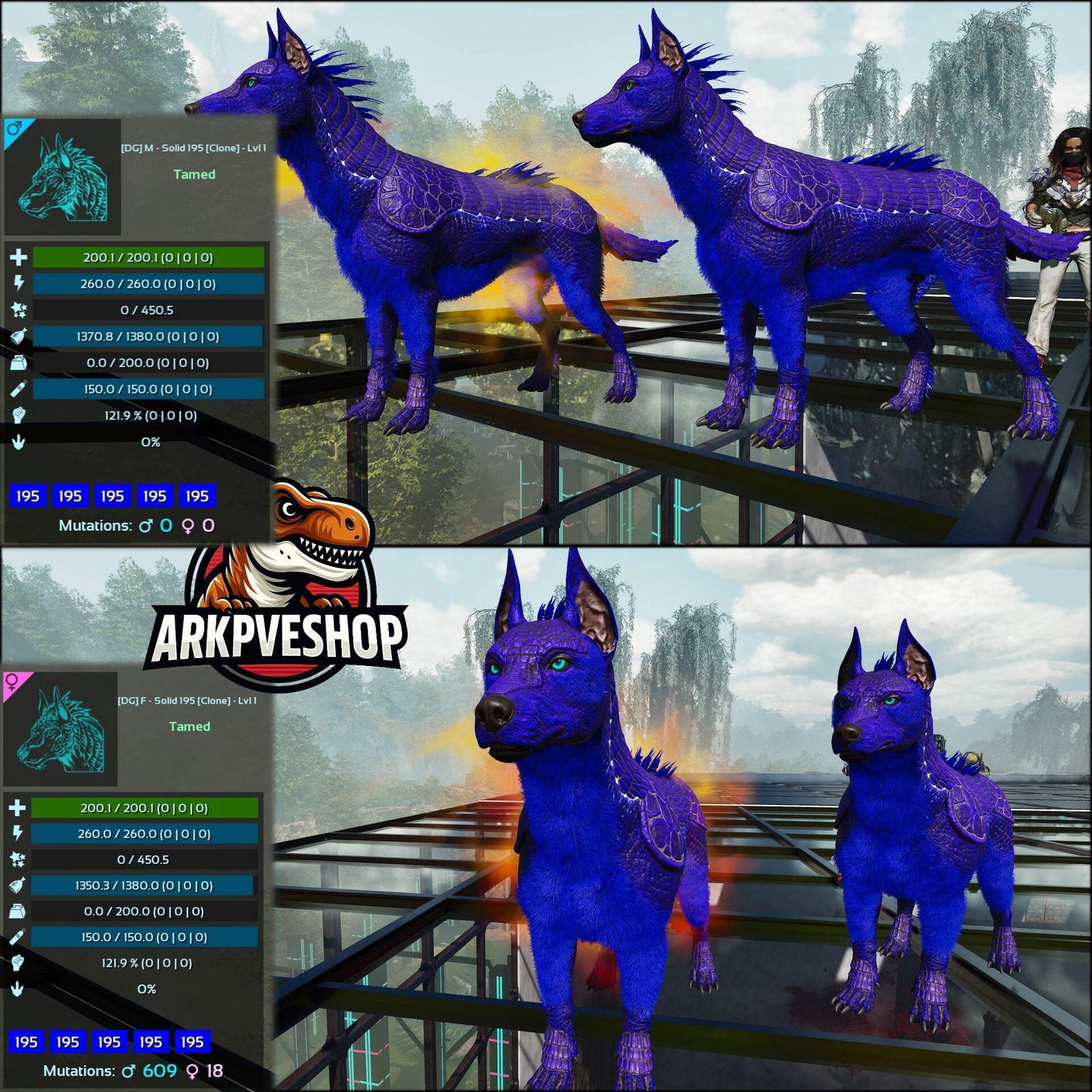 ASA PVE 🦖ARK Survival Ascended Armadoggo Lvl 1 Clone