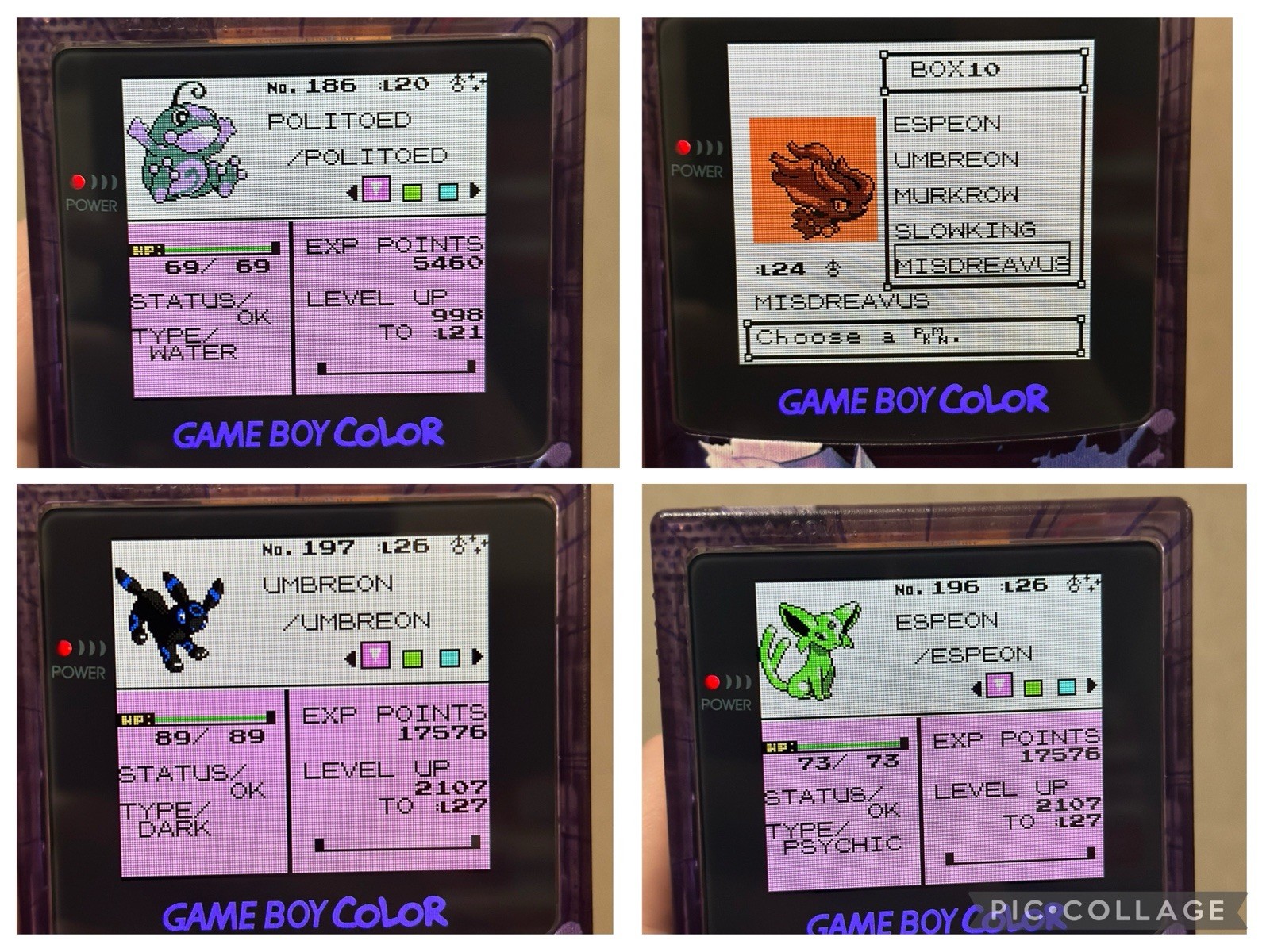 Pokemon Gold w/ All 251 Complete Shiny Pokedex Authentic Saves Max Money Items