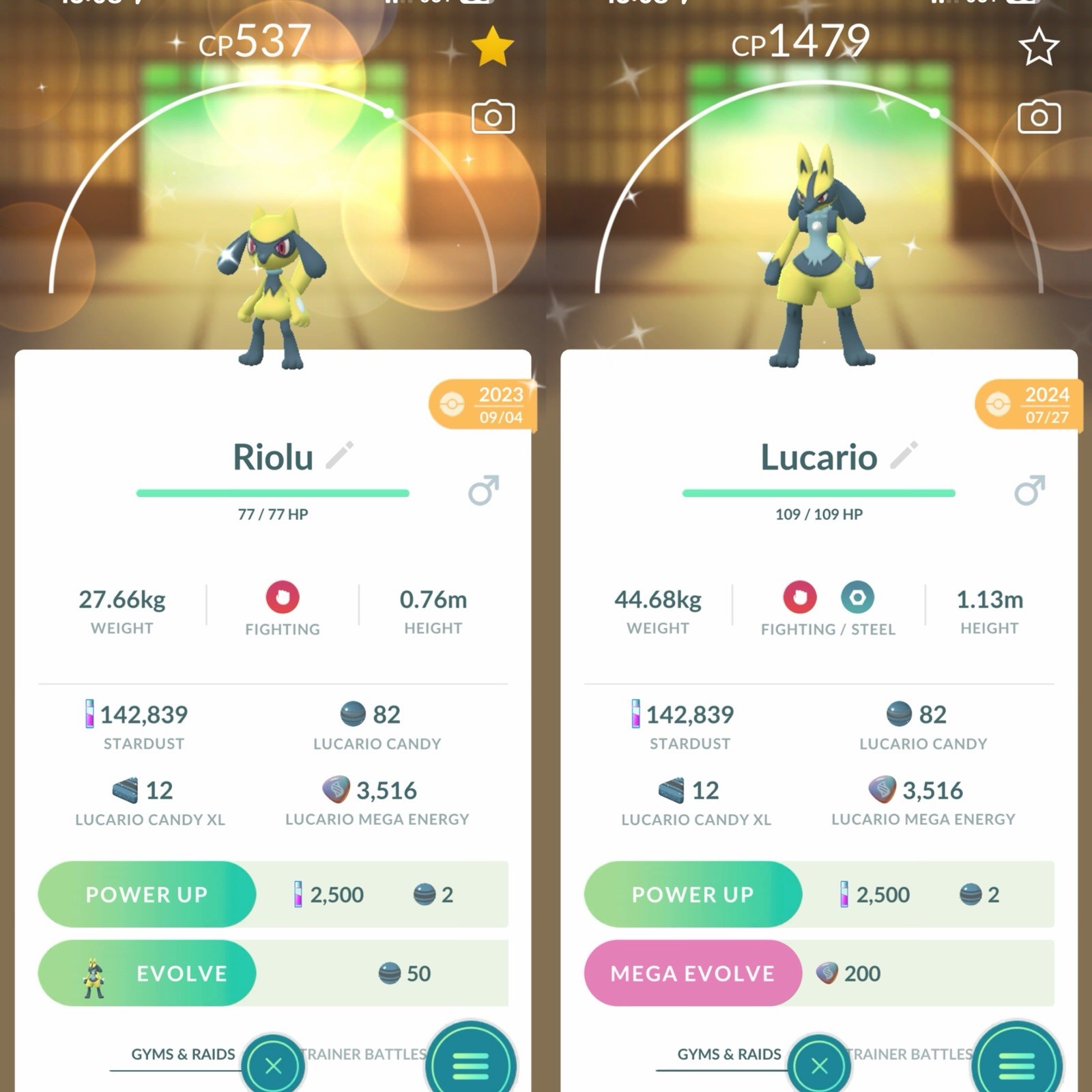 Pokémon Shiny Riolu OR Lucario Unregistered 500k-1million Dust Instant Trade Go