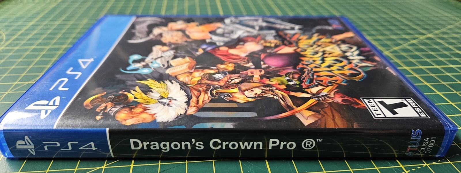 Dragon’s Crown Pro | CUSTOM COVER ART | PlayStation 4 | PS4