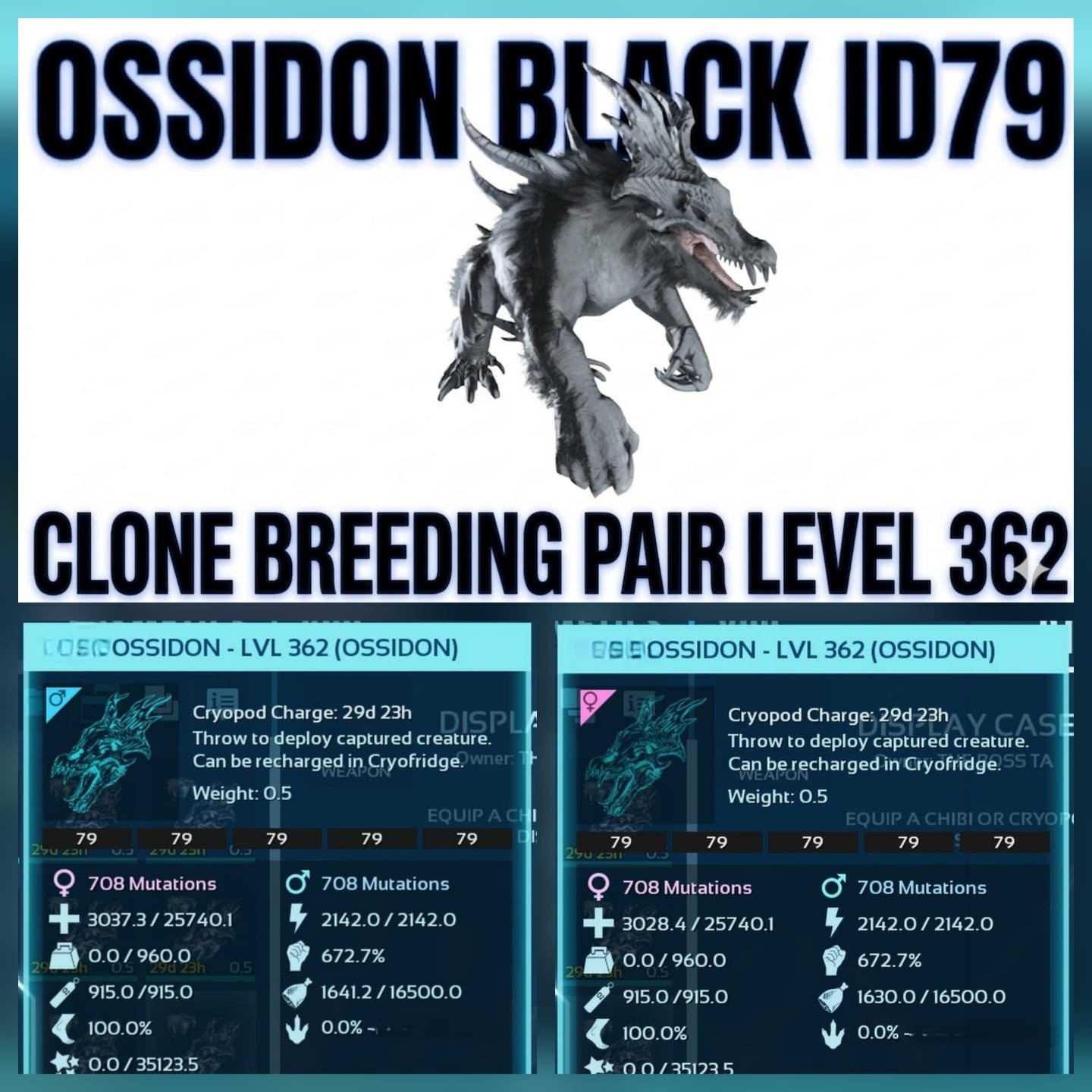 Ossidon Clone Breeding Pair Top Status Ark Asa Pve Official – PC/XBOX/PS5