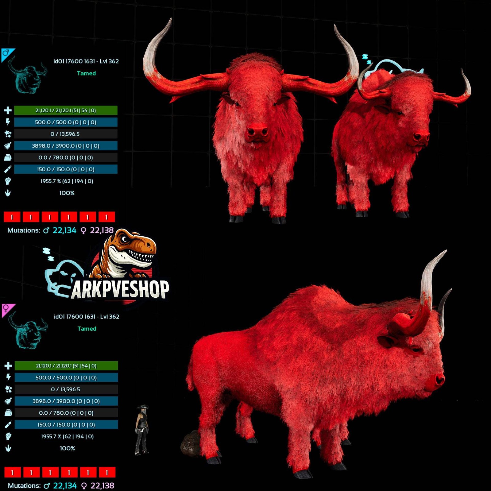 ASA PVE 🦖ARK Survival Ascended Bison 362Lvl 1955.7% Melee