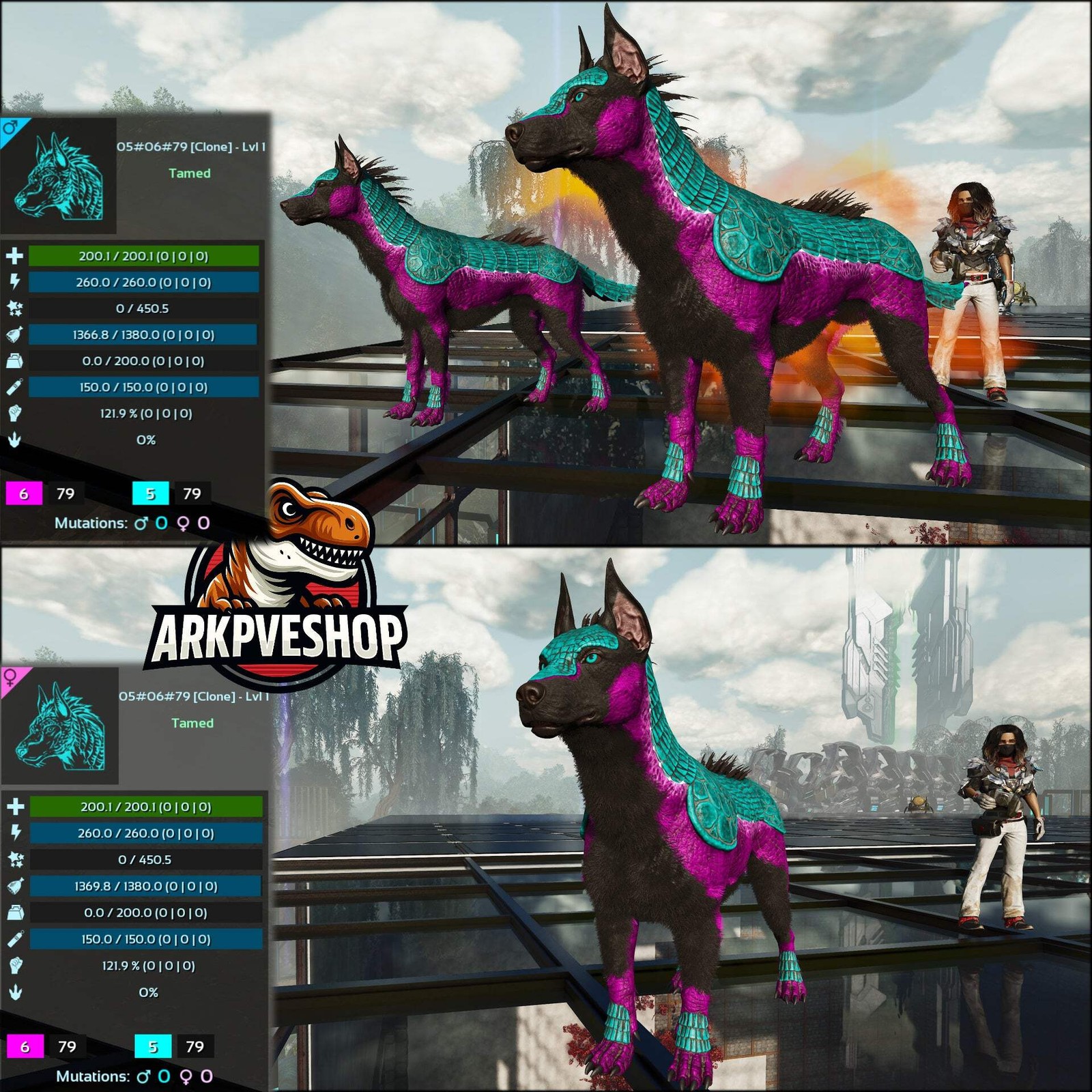 ASA PVE 🦖ARK Survival Ascended Armadoggo Lvl 1 Clone
