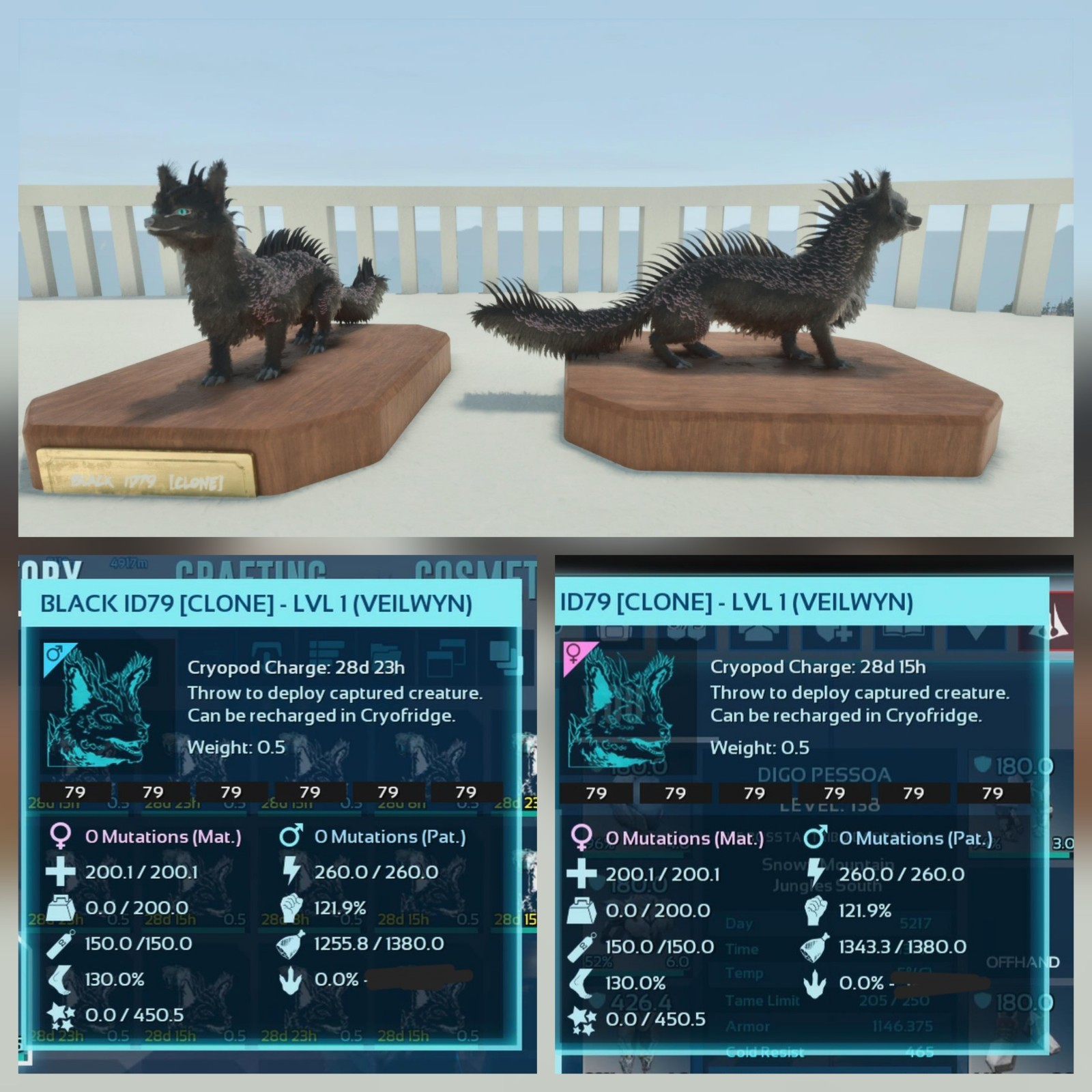 VEILWYN PAIR CLONE LVL01 FULL COLOR BLACK ID79 ARK ASCENDED PVE PC/XBOX/PS5
