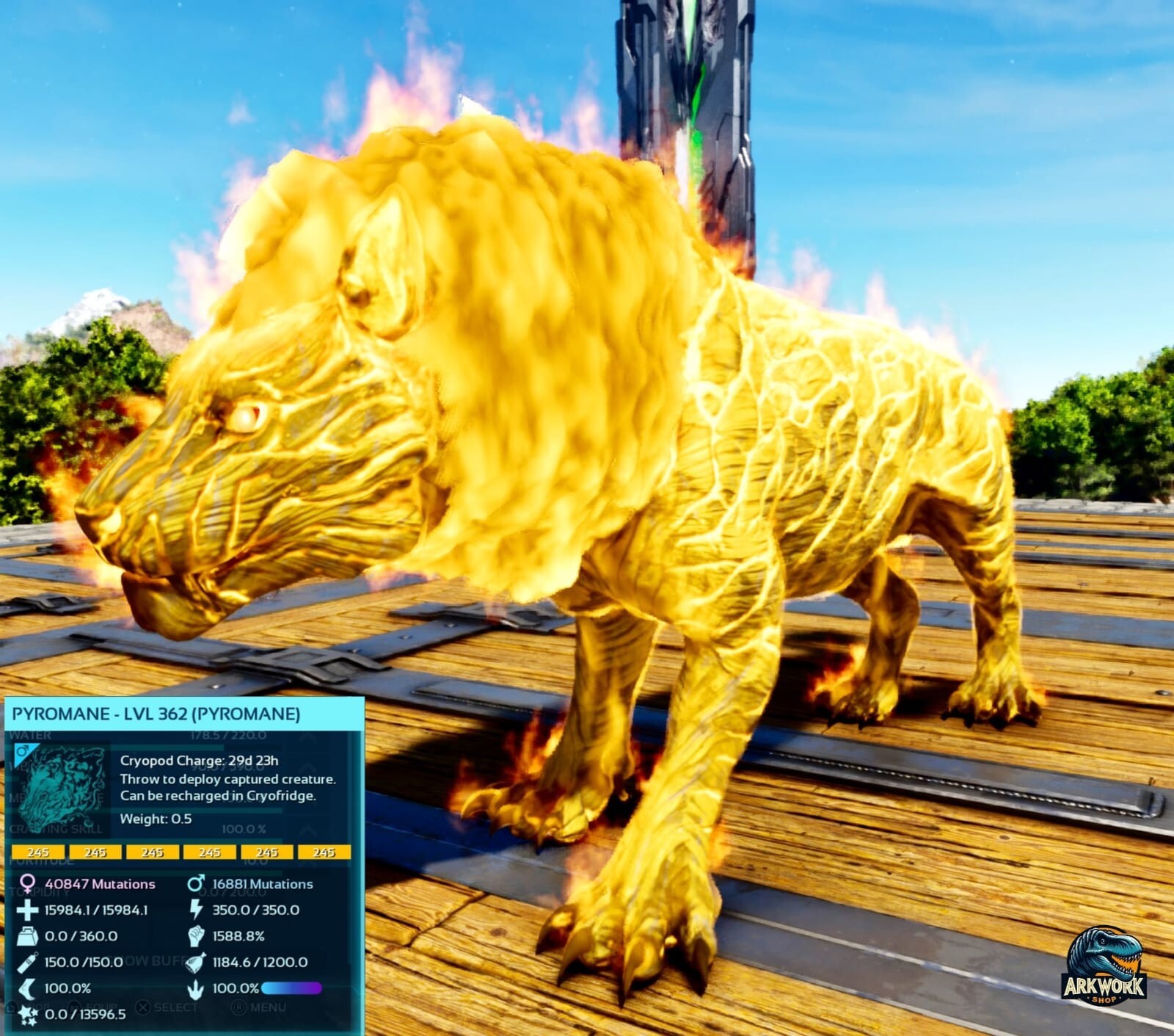 ARK Survival Ascended Pyromane Top Stats PVE PS5/XBOX/PC