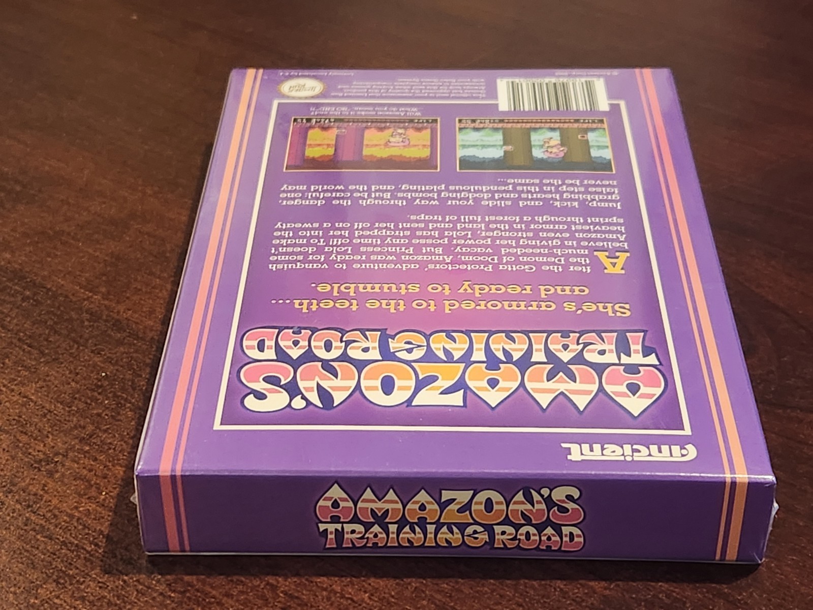 Ships Fast & Safe! Amazon’s Training Road – Nintendo NES – Limited Run Games