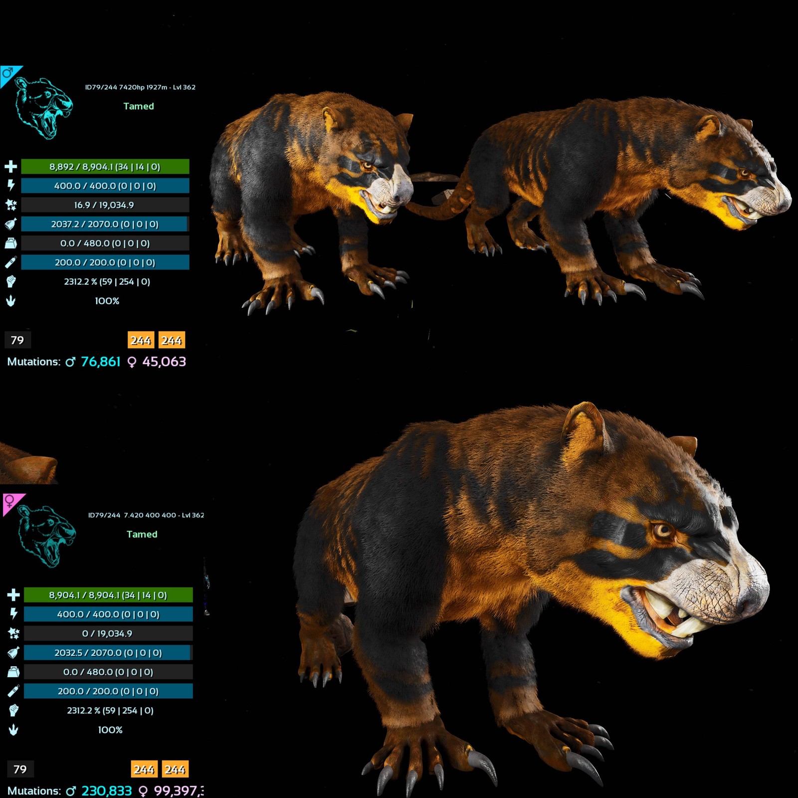 ASA PVE 🦖ARK Survival Ascended Thylacoleo / Thyla 2312%Melee Imprinted