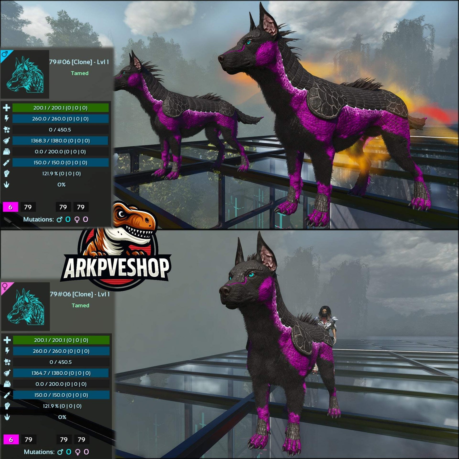 ASA PVE 🦖ARK Survival Ascended Armadoggo Lvl 1 Clone