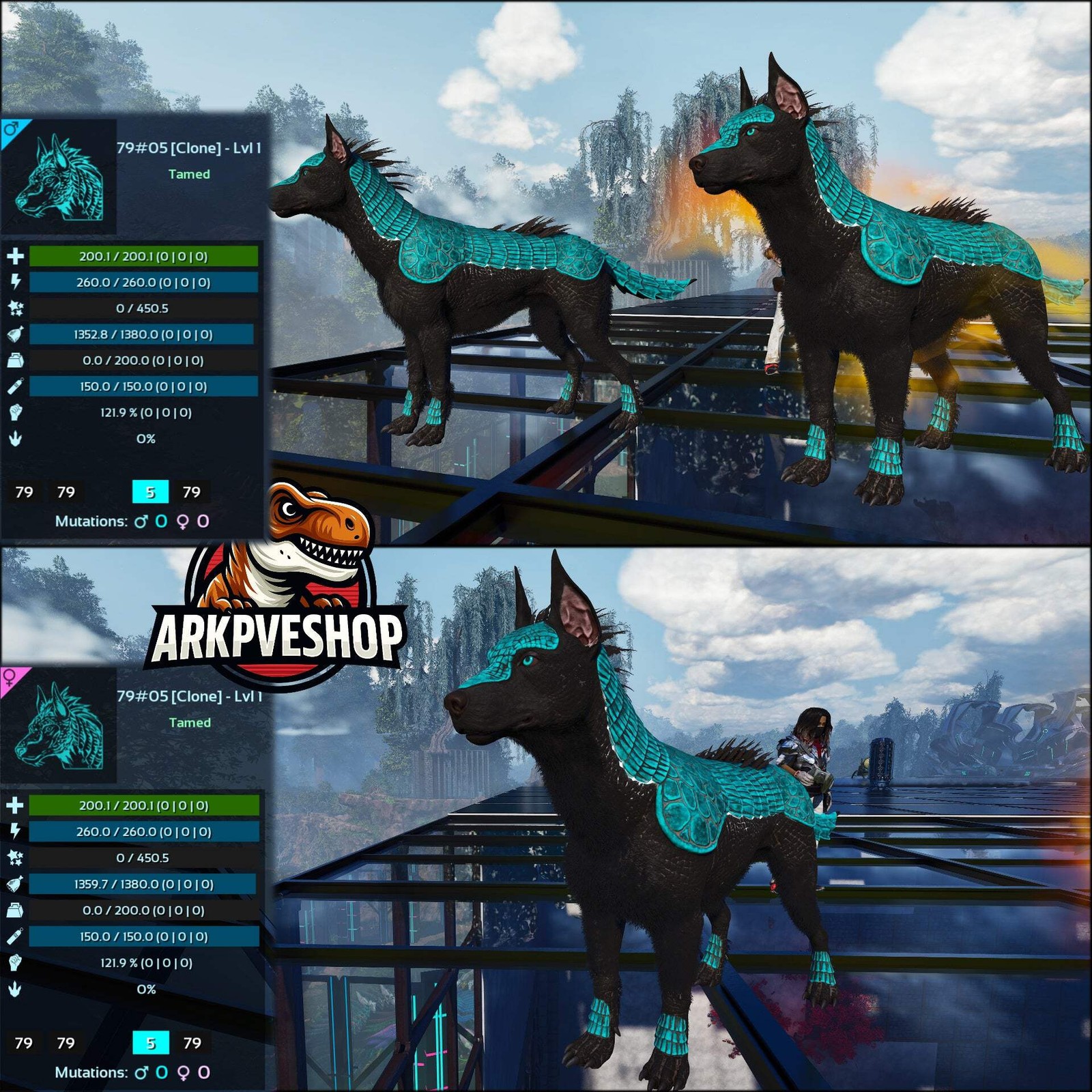 ASA PVE 🦖ARK Survival Ascended Armadoggo Lvl 1 Clone