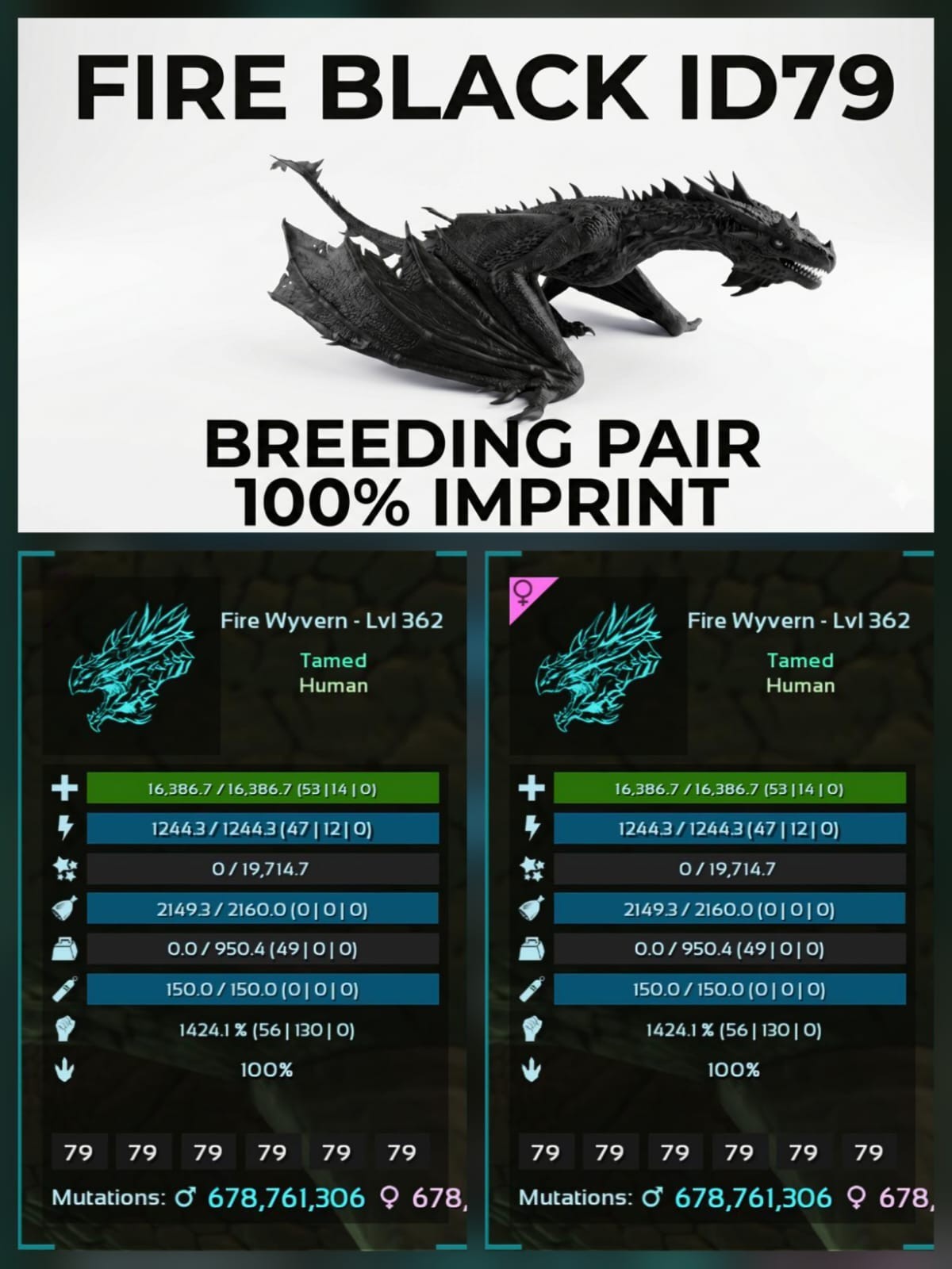 Fire Wyvern ADULT BREEDING PAIR – 100% Imprint Ark Asa Official PVE PC/XBOX/PS5
