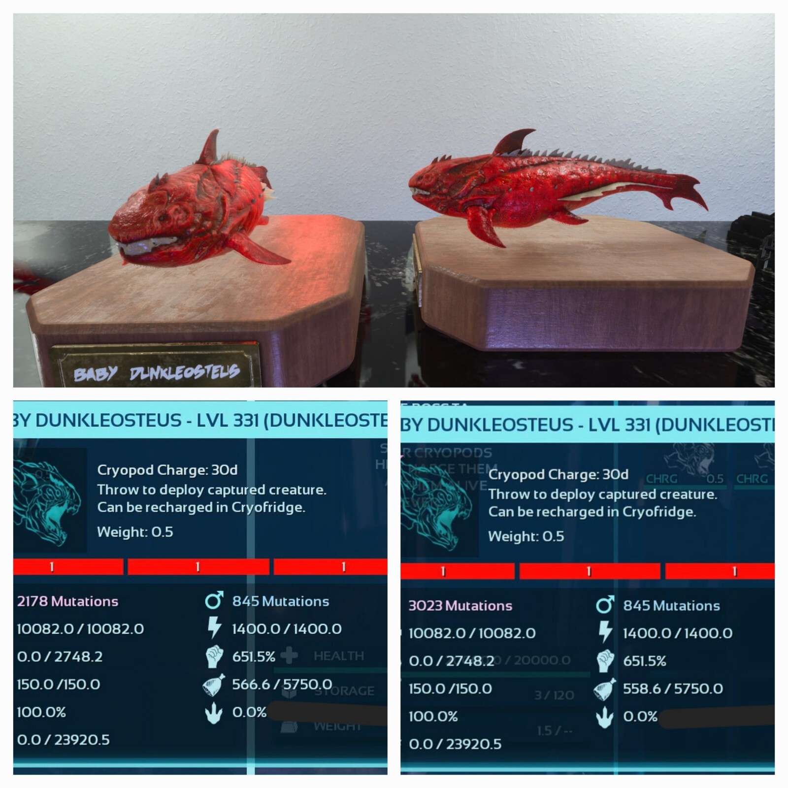 ARK ASCENDED PVE OFFICIAL PAIR BABY DUNK RED ID01 TOP STATUS PC/XBOX/PS5