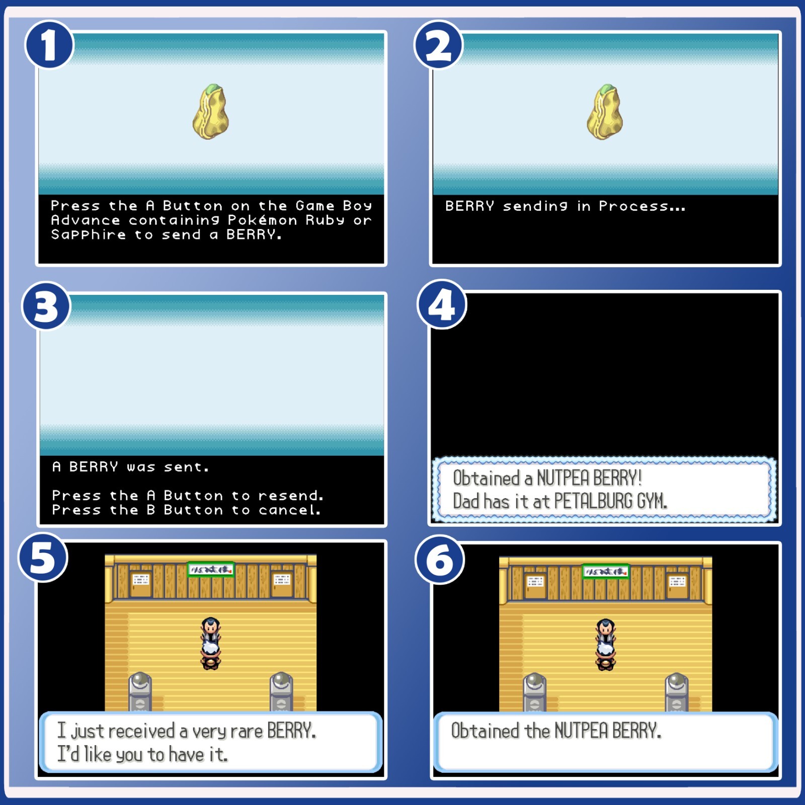 Pokemon Battle-e: Series 1 e-Reader Berries Custom Cards (Read Description)