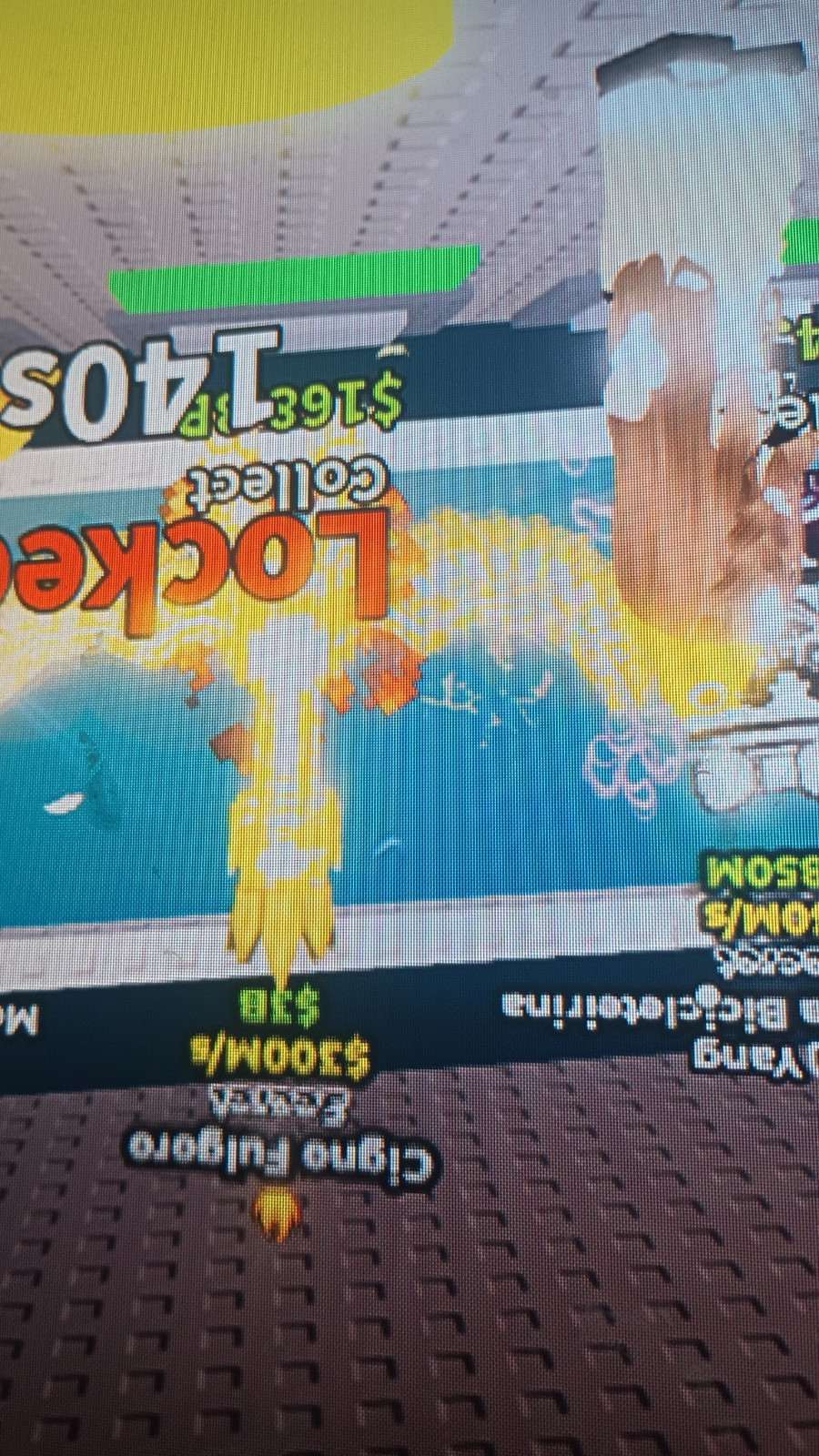 Roblox PC Video Game Screenshot Image – In-Game “Locker Collect” Screen