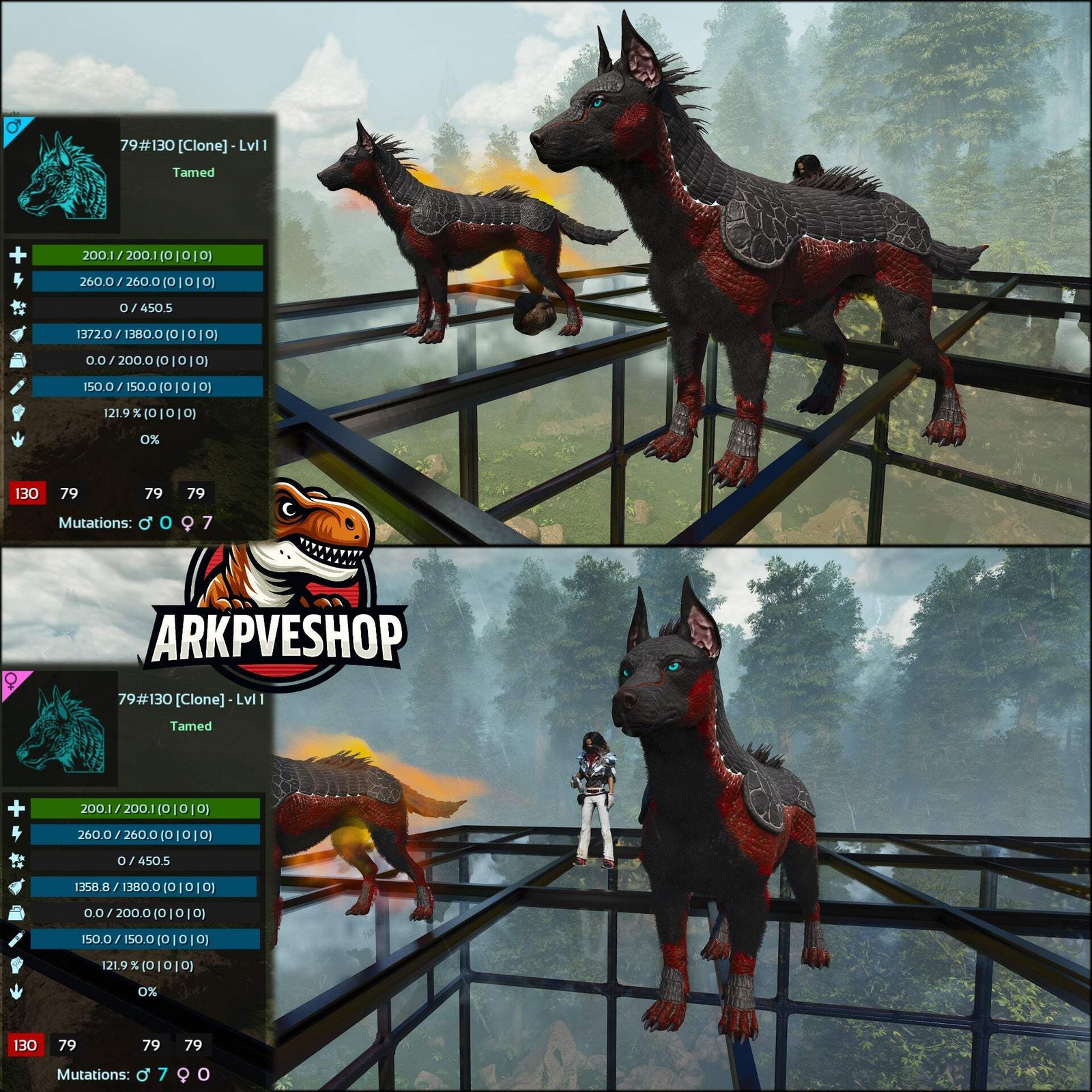 ASA PVE 🦖ARK Survival Ascended Armadoggo Lvl 1 Clone