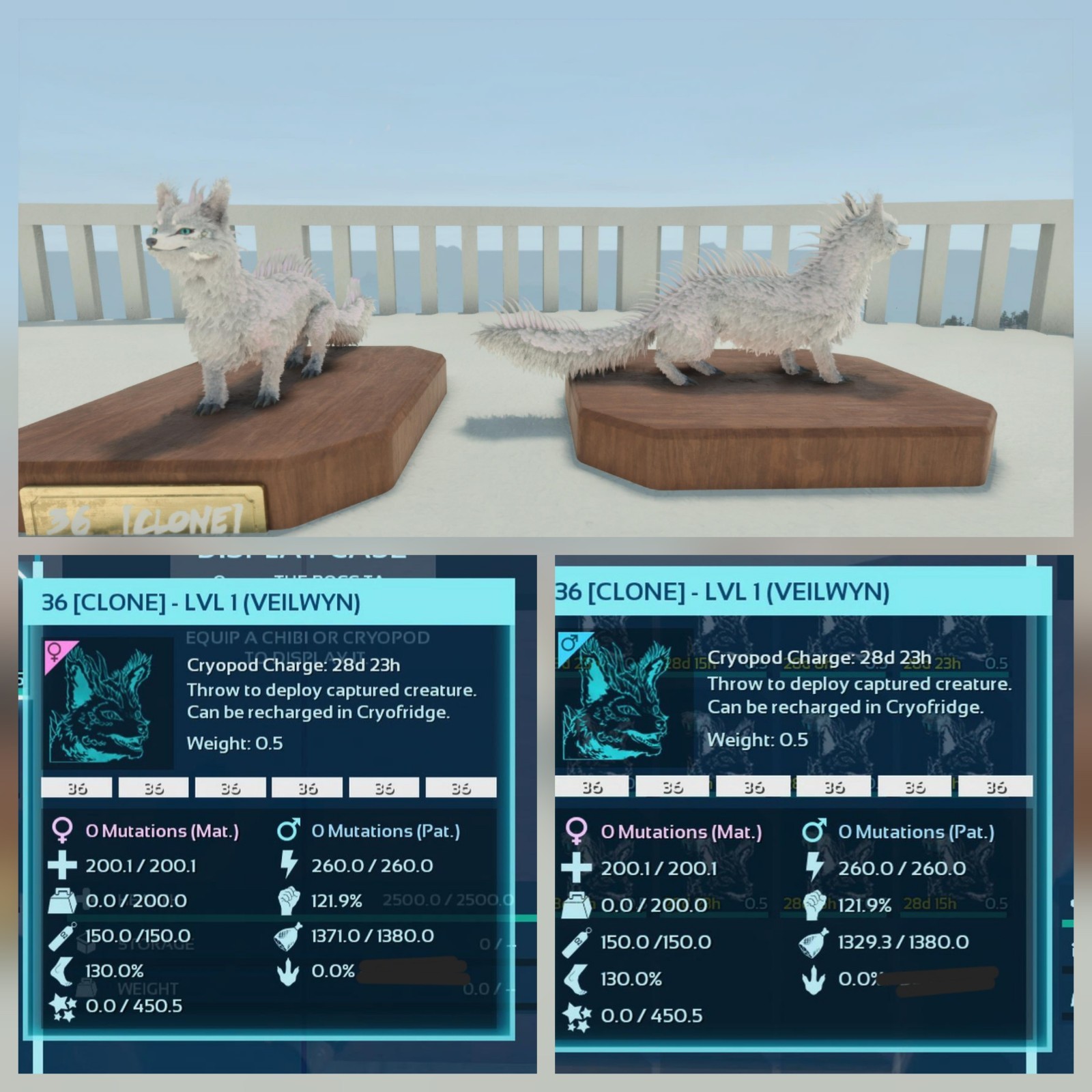 VEILWYN PAIR CLONE LVL01 FULL COLOR ALBINO ID36 ARK ASCENDED PVE PC/XBOX/PS5