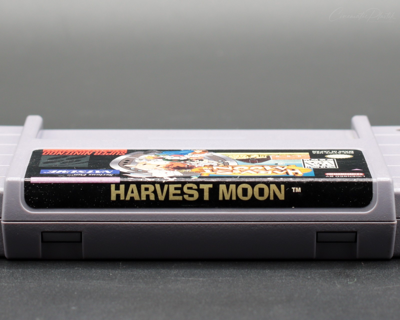 Harvest Moon Super Nintendo SNES Authentic Cartridge Only Tested
