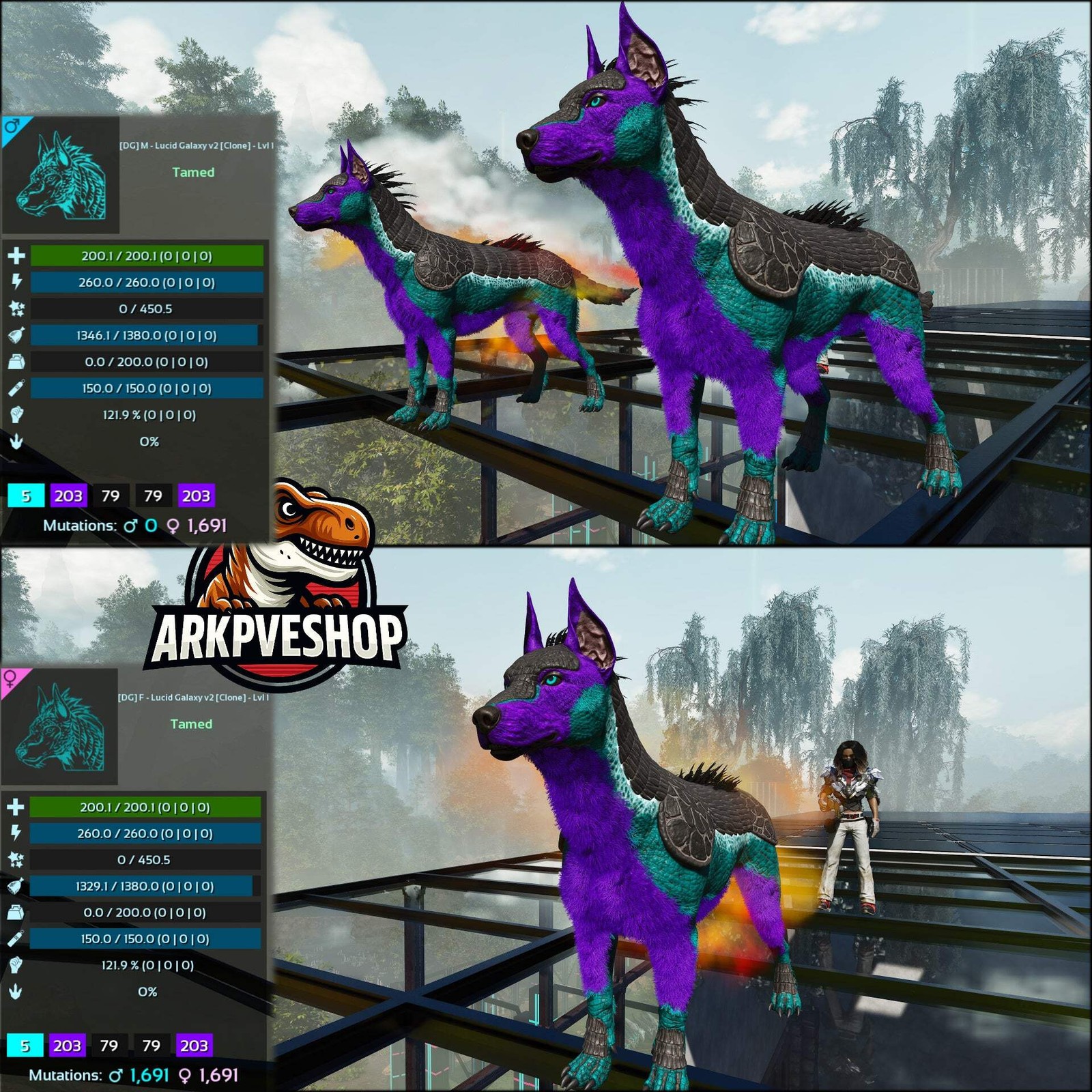 ASA PVE 🦖ARK Survival Ascended Armadoggo Lvl 1 Clone