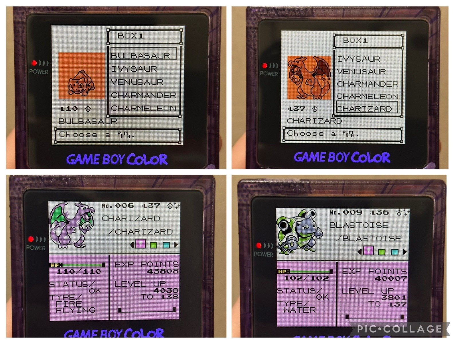 Pokemon Gold w/ All 251 Complete Shiny Pokedex Authentic Saves Max Money Items
