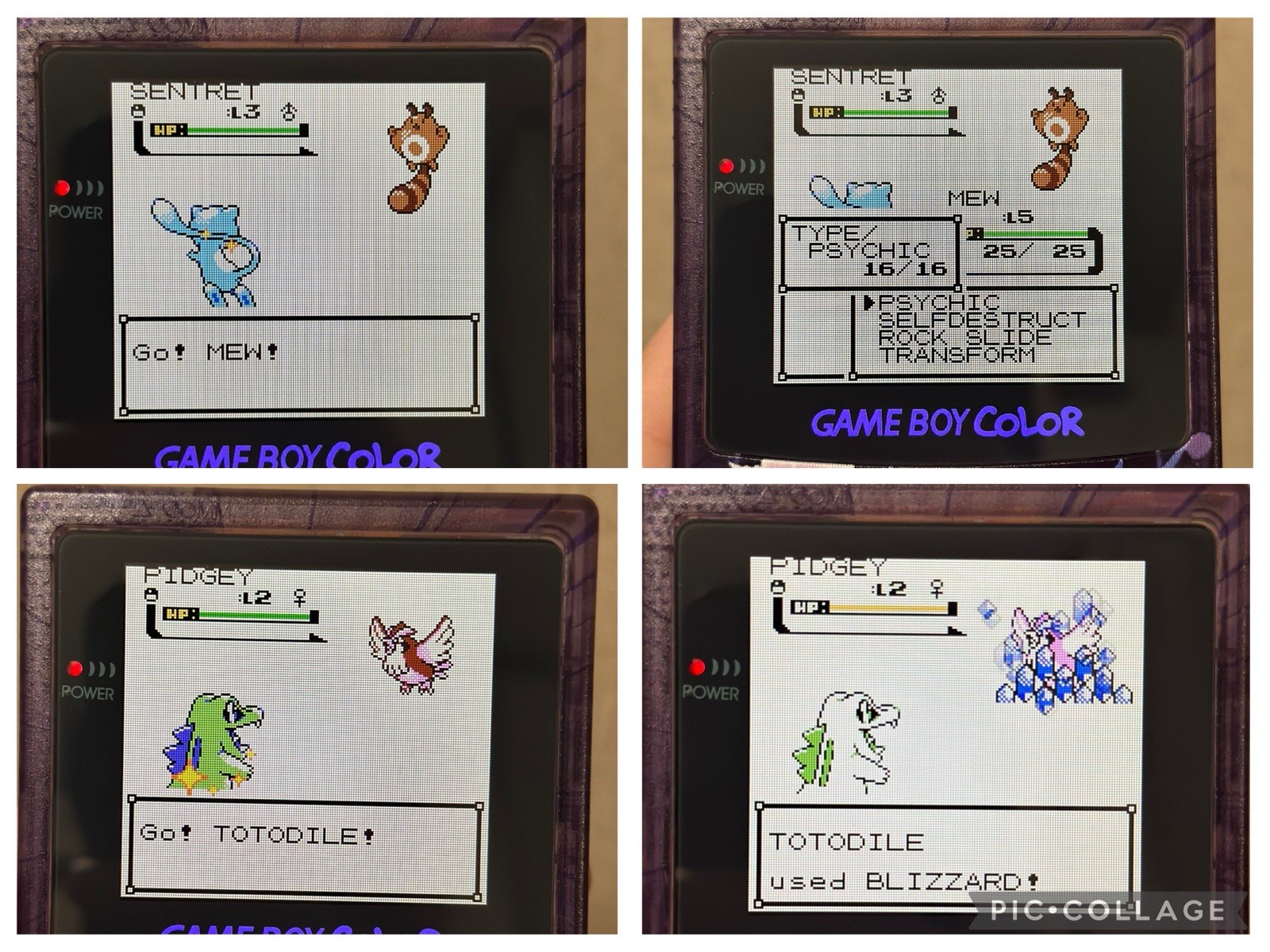 Pokemon Gold w/ All 251 Complete Shiny Pokedex Authentic Saves Max Money Items