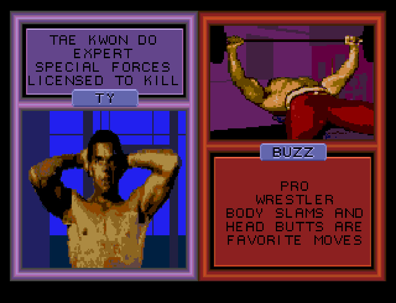 Pit-Fighter 2 “Prototype” for Sega Genesis with case & cover art.