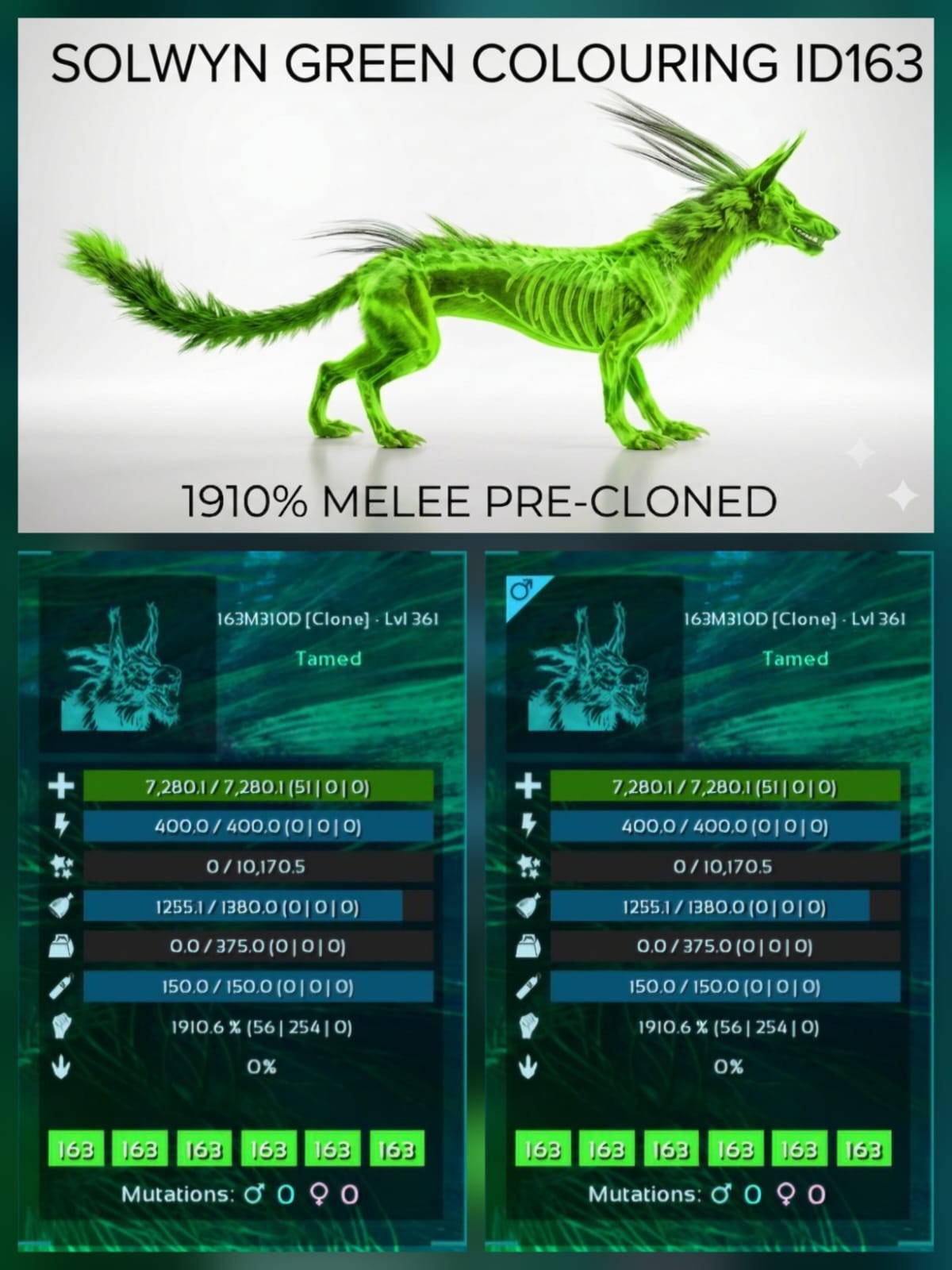 SOLWYN PRE-CLONED Breeding Pair – TOP MELEE – Ark Asa Official PVE PC/XBOX/PS5