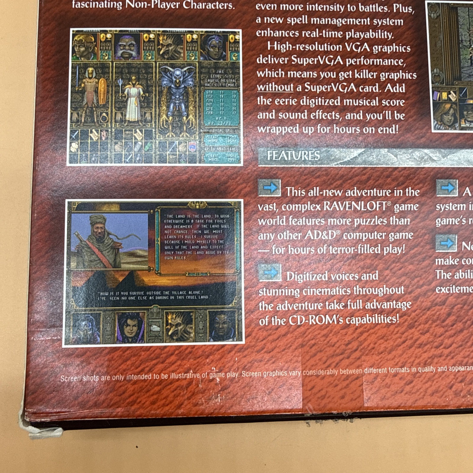 Advanced Dungeons and Dragons Ravenloft Stone Prophet CD DOS PC Big Box READ!