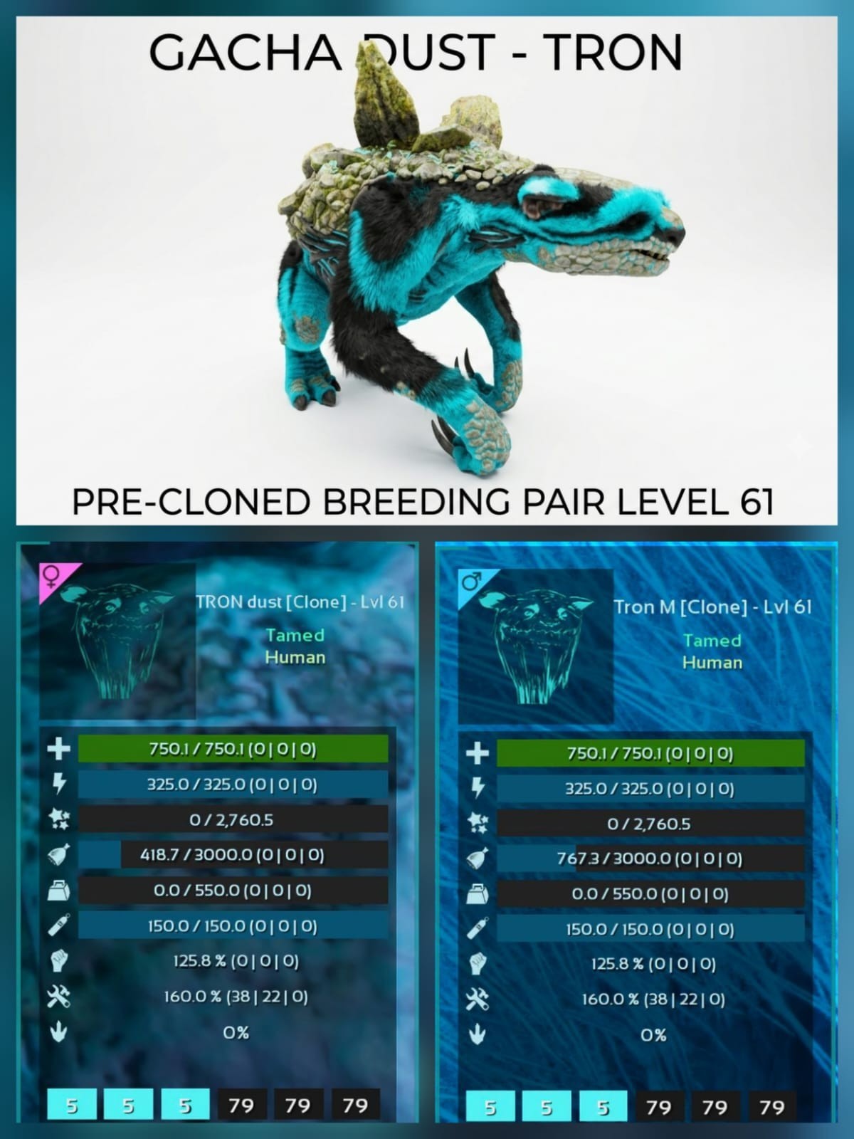 GACHA Dust LVL 61 Pre-Cloned breeding Pair Ark Ascended Official PVE PC/XBOX/PS5