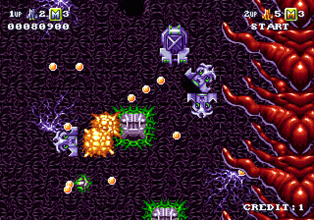 Battle Squadron – Sega Genesis Game Only