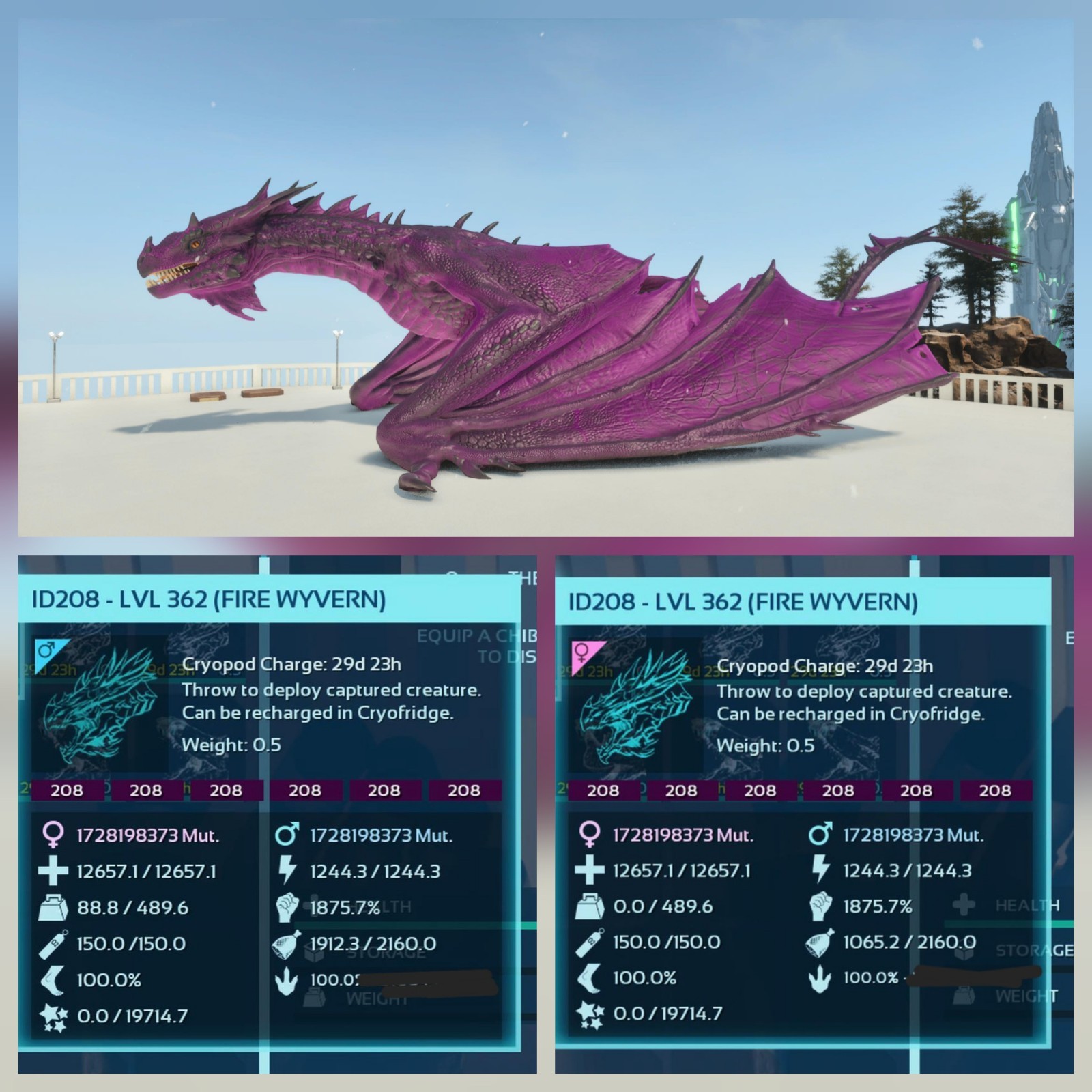 WYVERN FIRE ADULT PAIR 100% IMPRINTED TOP STATUS ARK ASCENDED PVE PC/XBOX/PS5