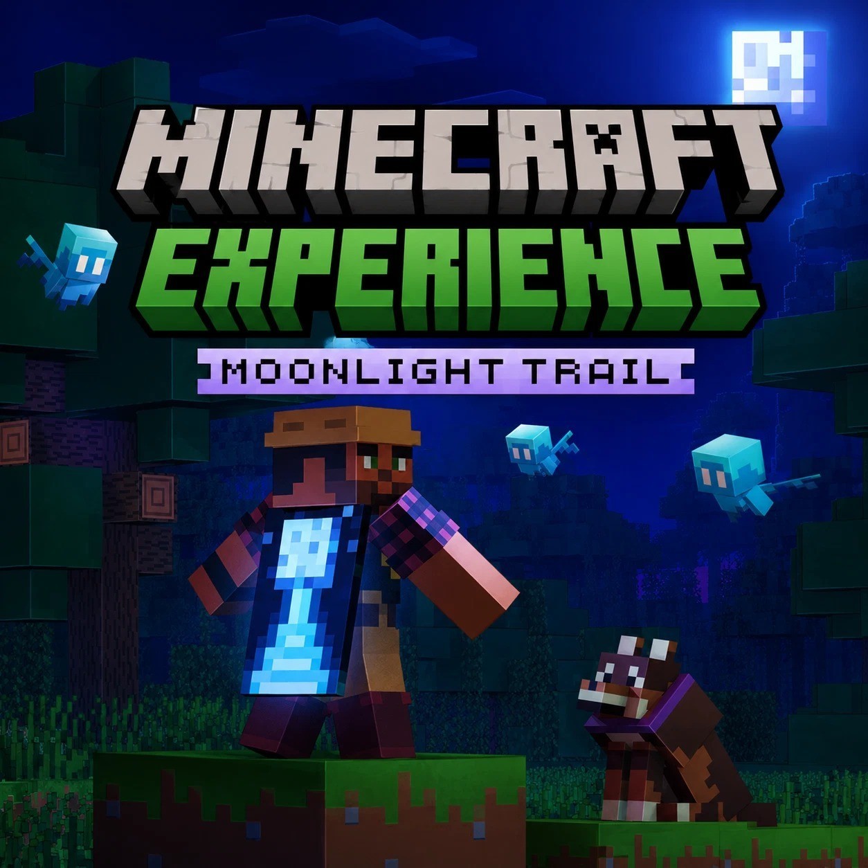 Minecraft Moonlight Trail Cape Code – STOCK