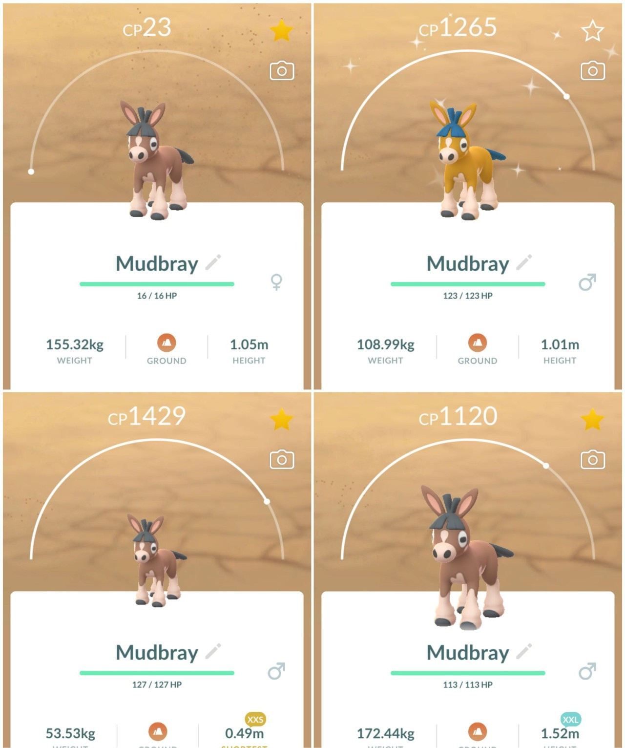 Shiny Mudbray Pokémon Go – Normal/Shiny/Level 1/XXL/XXS – Registered/1 M Unregi