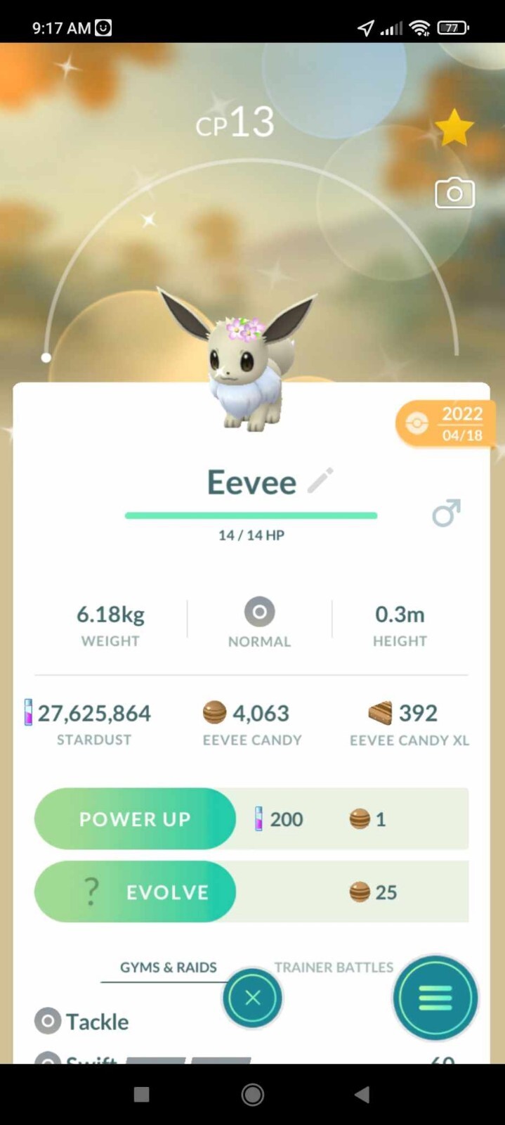Pokemon Shiny Eevee LV1 Male Flower Crown – TRADE 20k Dust – Description