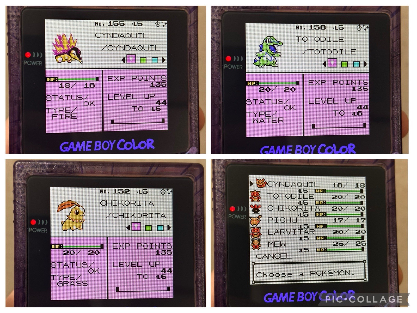 Pokemon Gold w/ All 251 Complete Shiny Pokedex Authentic Saves Max Money Items