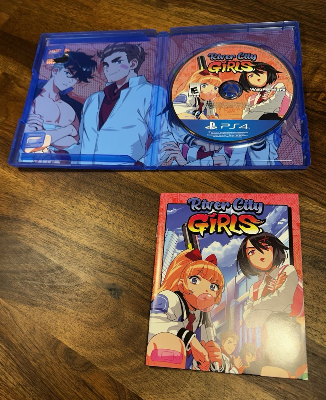 River City Girls Play Station 4 PS 4 Clean Disc Complete CIB