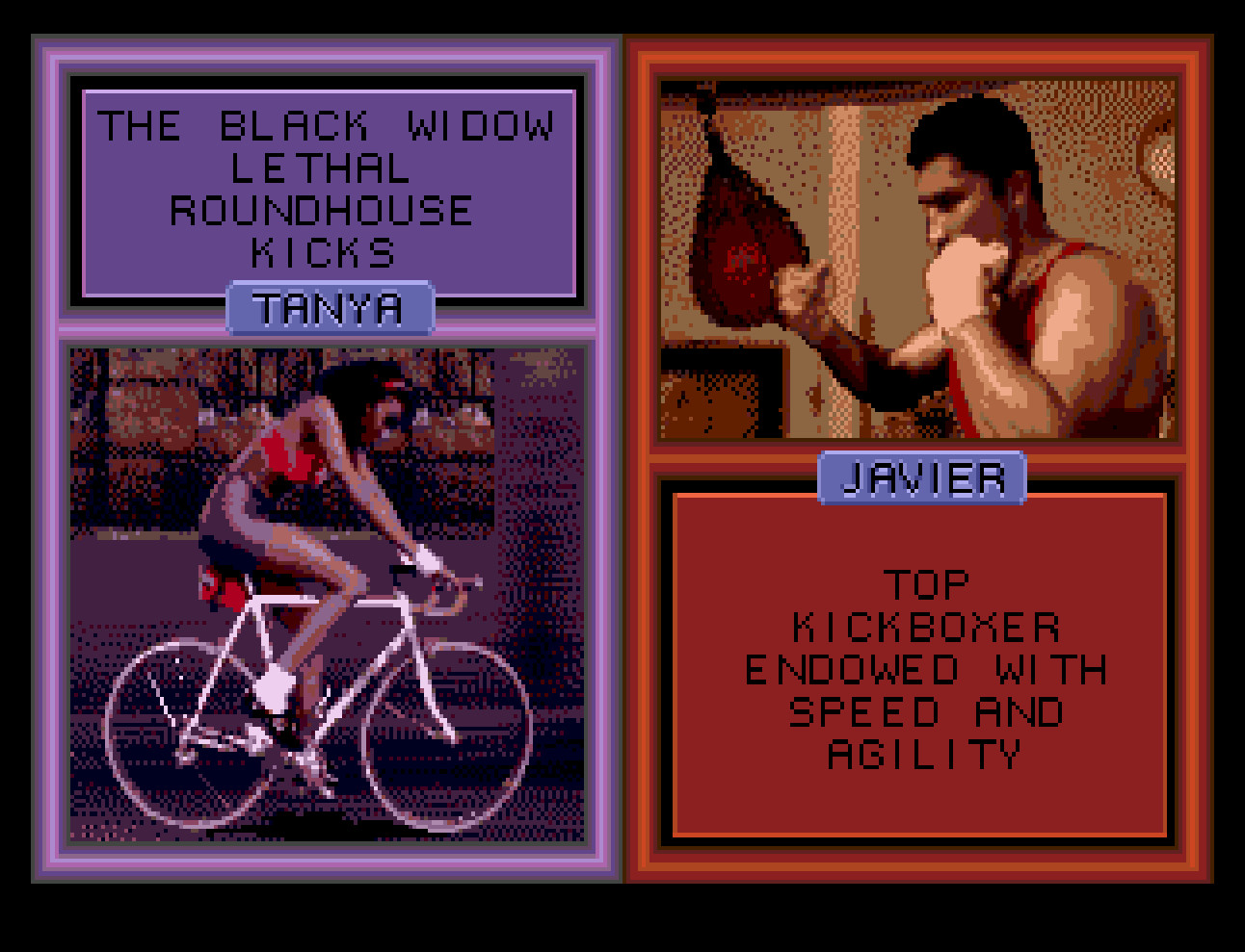 Pit-Fighter 2 “Prototype” for Sega Genesis with case & cover art.