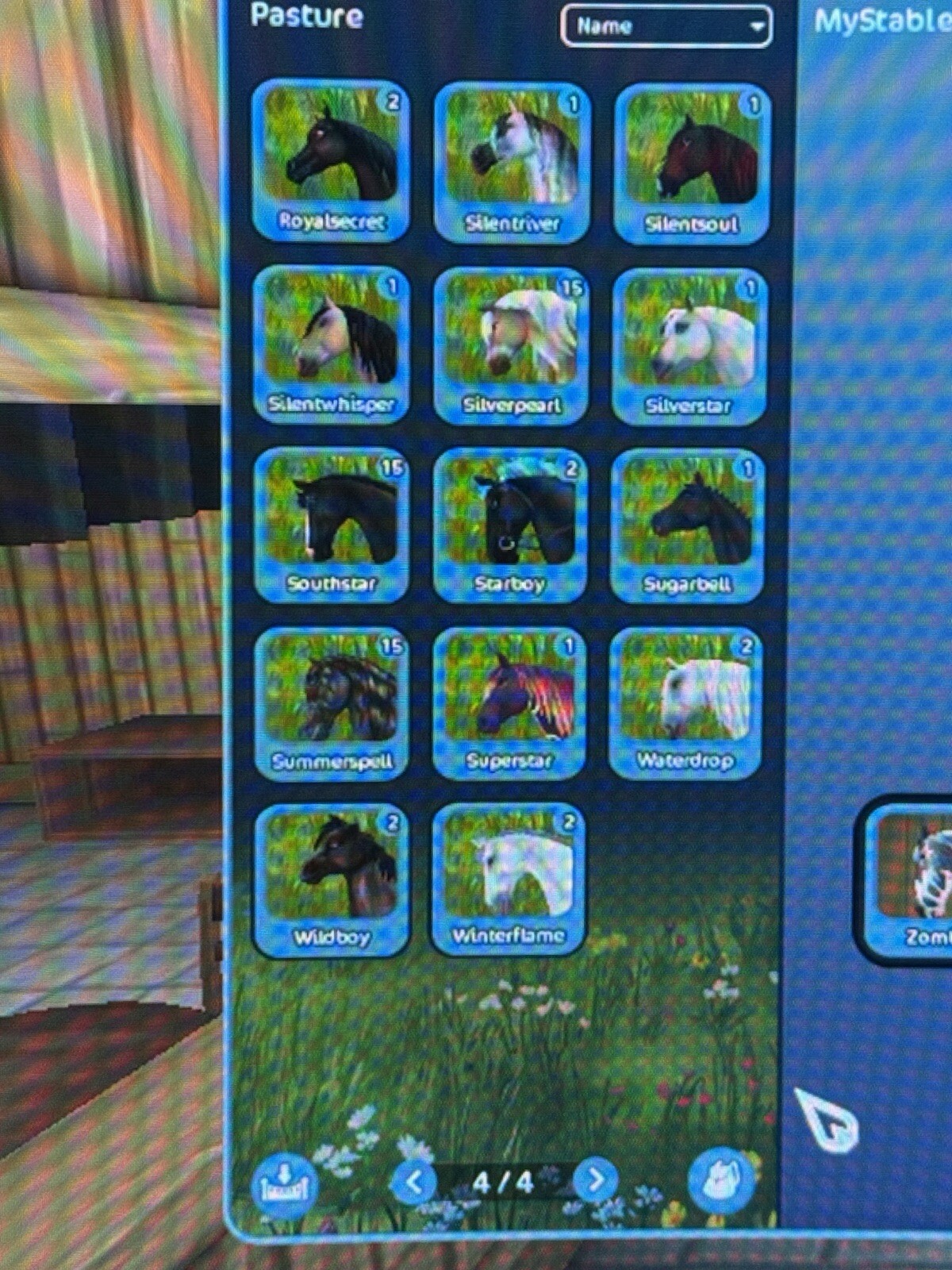 STAR STABLE Lifetime Account
