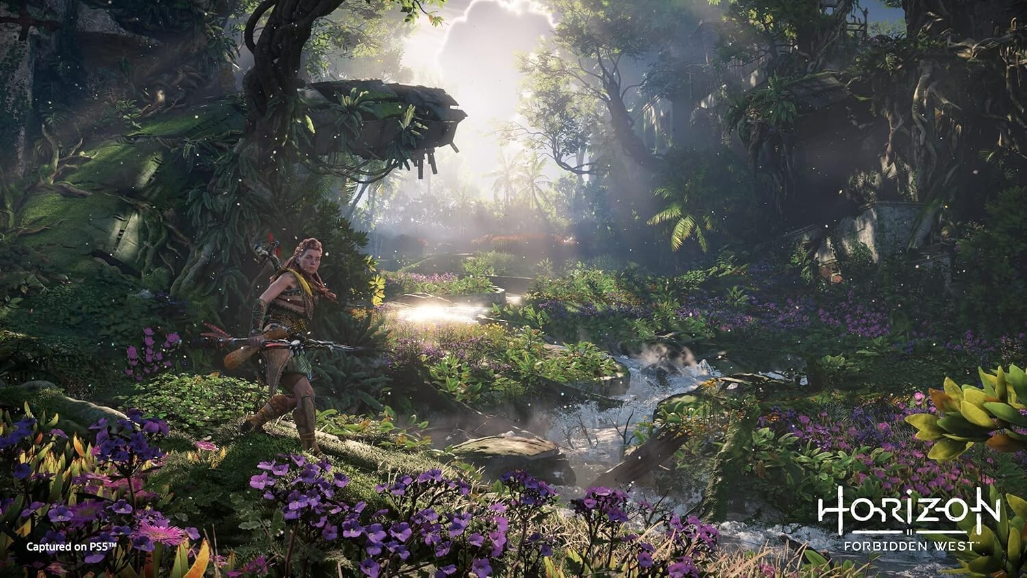 Horizon Forbidden West (PS4) PlayStation 4