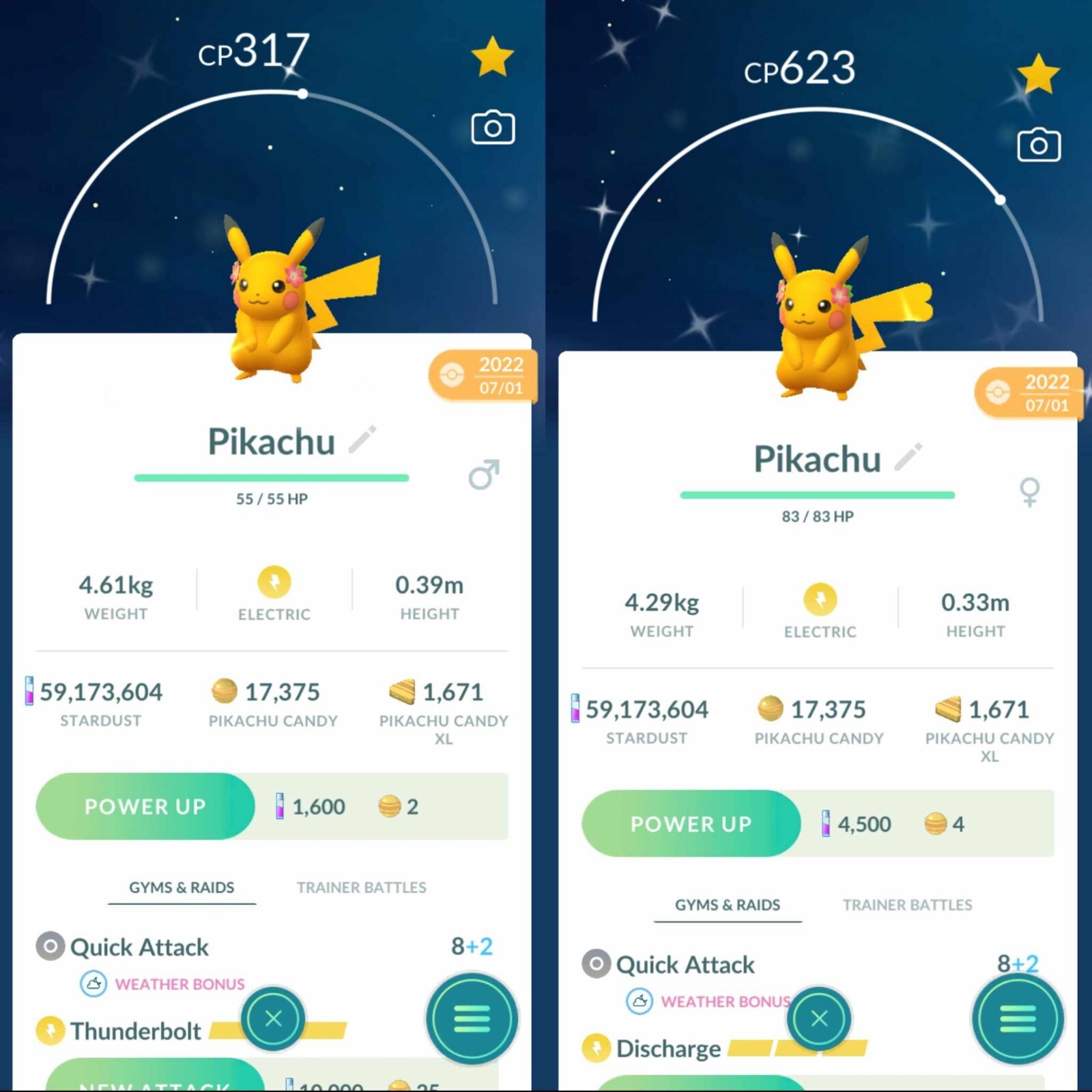 Pokemon Shiny Pikachu With Gracidea Flower Fest 2022 – TRADE – Description