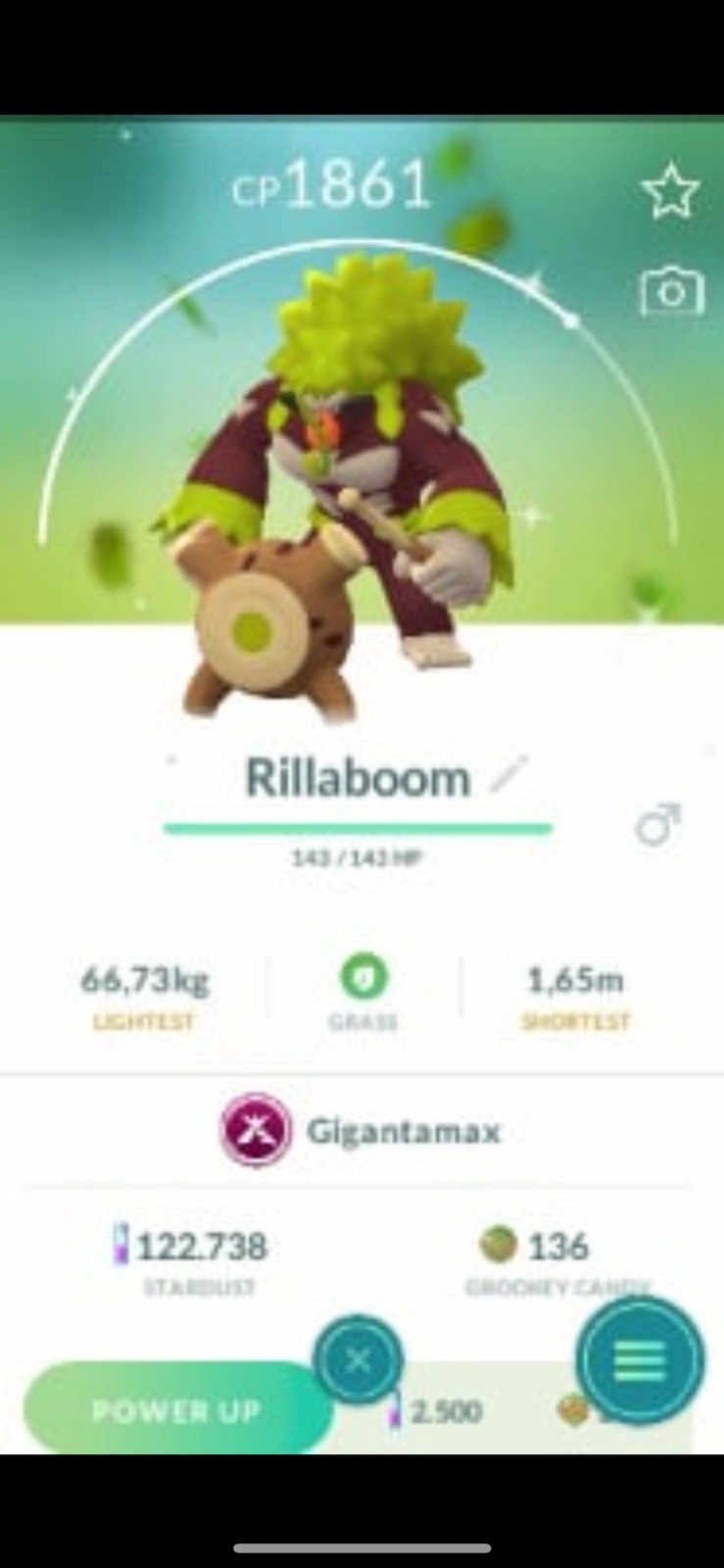 Shiny Gigantamax Rillaboom ✨✨✨20k dusts)-PTCs💥💥Pokémon G0