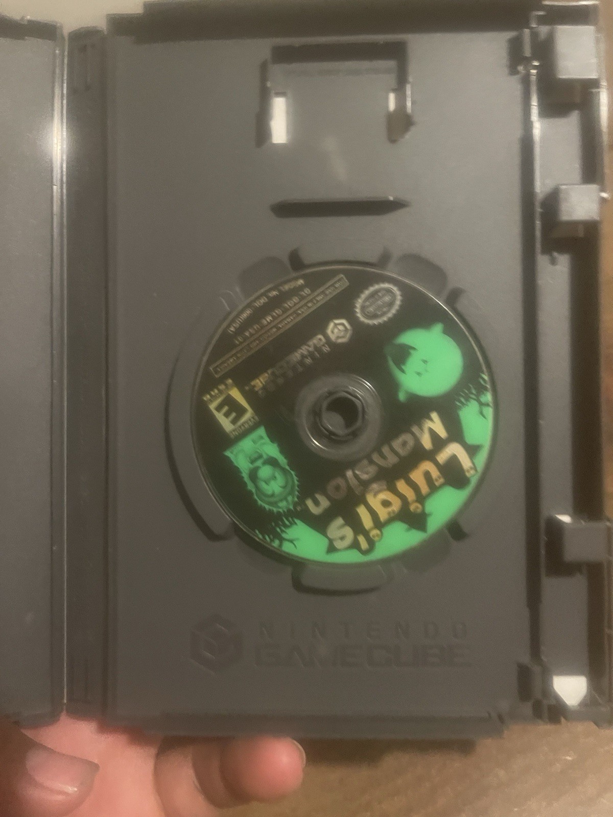 Luigi’s Mansion – Nintendo Cube Missing Manual