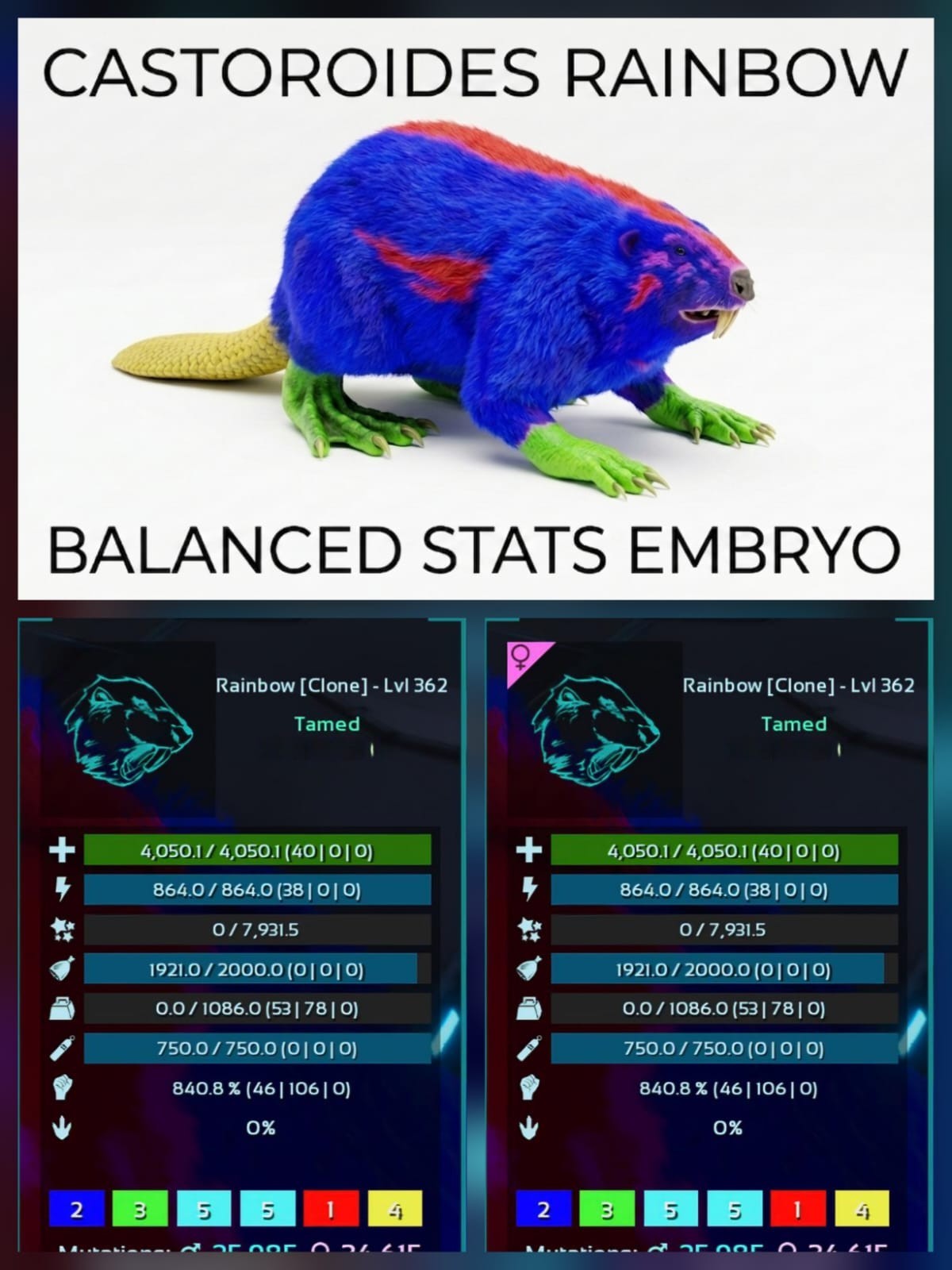 Castoroides Top Stats BABY PAIR Ark Survival Ascended Official PVE PC/XBOX/PS5