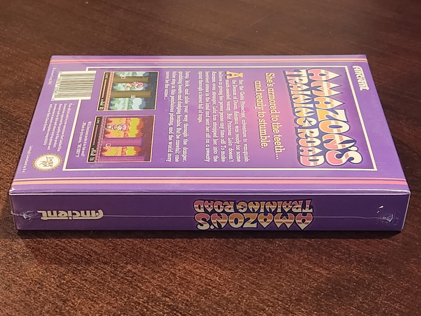 Ships Fast & Safe! Amazon’s Training Road – Nintendo NES – Limited Run Games