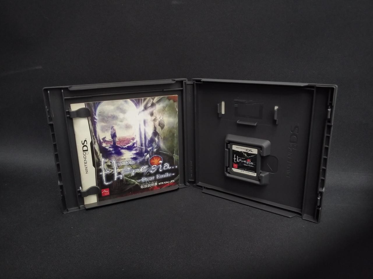 Arc System Works NTR-P-YJAJ Theresa ~DEAR EMILE~ Nintendo DS