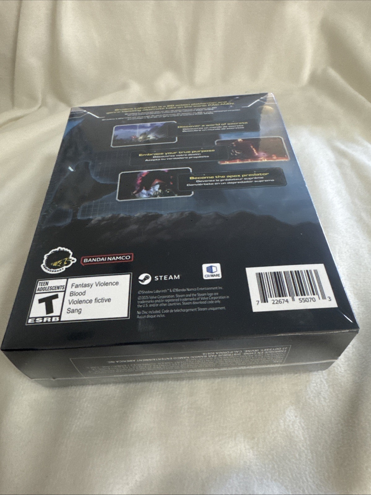 Shadow Labyrinth Collector’s Edition Steam w/ Physical Disc New