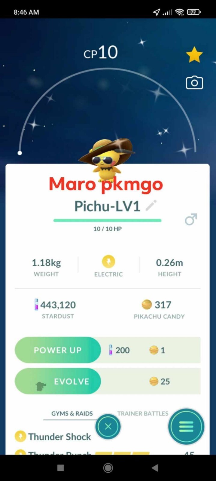 Pokemon Shiny Pichu LV1 With Summer Style Hat Costume – TRADE – Description