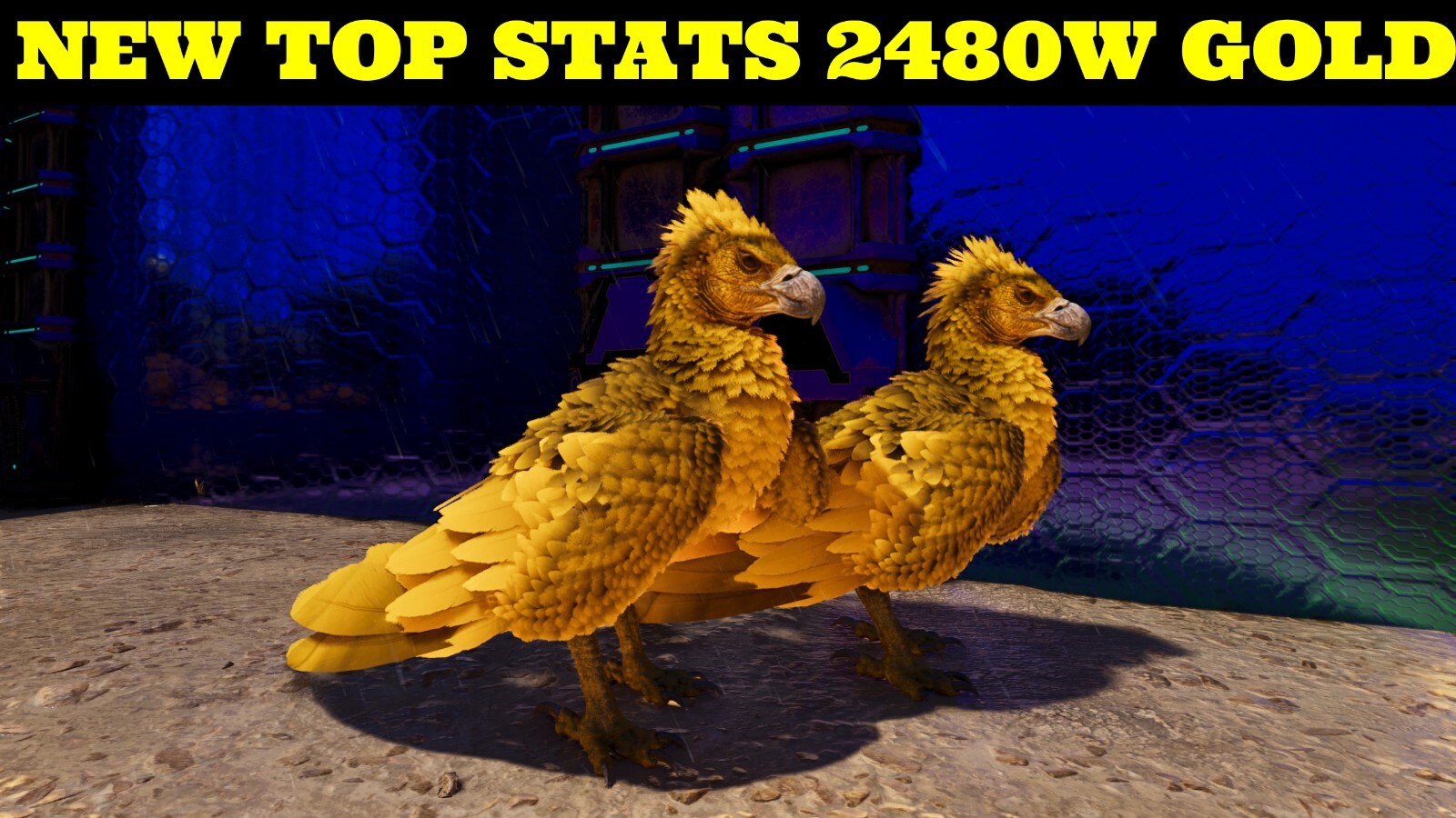 ARK Survival Ascended PvE PC/XBOX/PS5 Top Stats Gold Argentavis 2480w (argy)