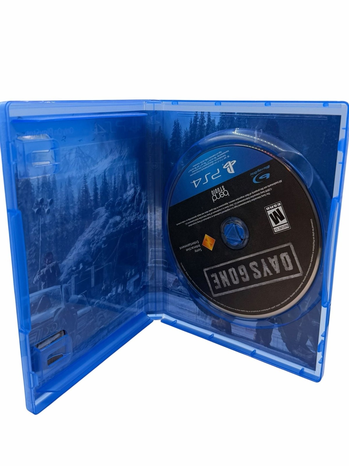 Days Gone PlayStation 4 Video Game