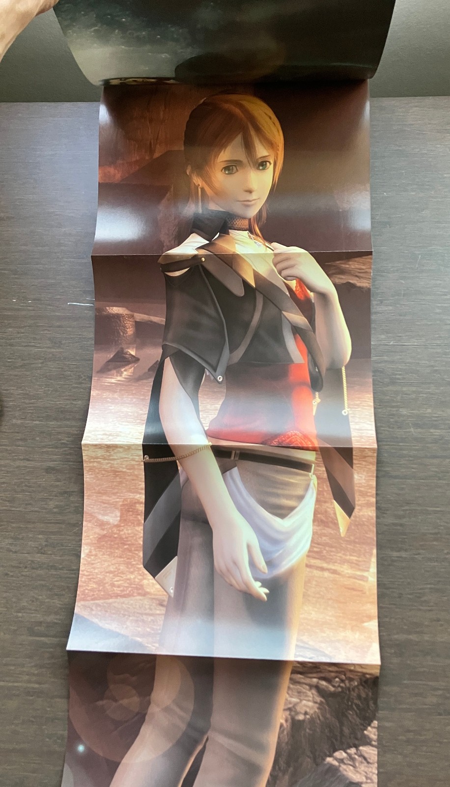 Xenosaga Collection (All Games, All Strategy Guides, Preorder Bonuses)
